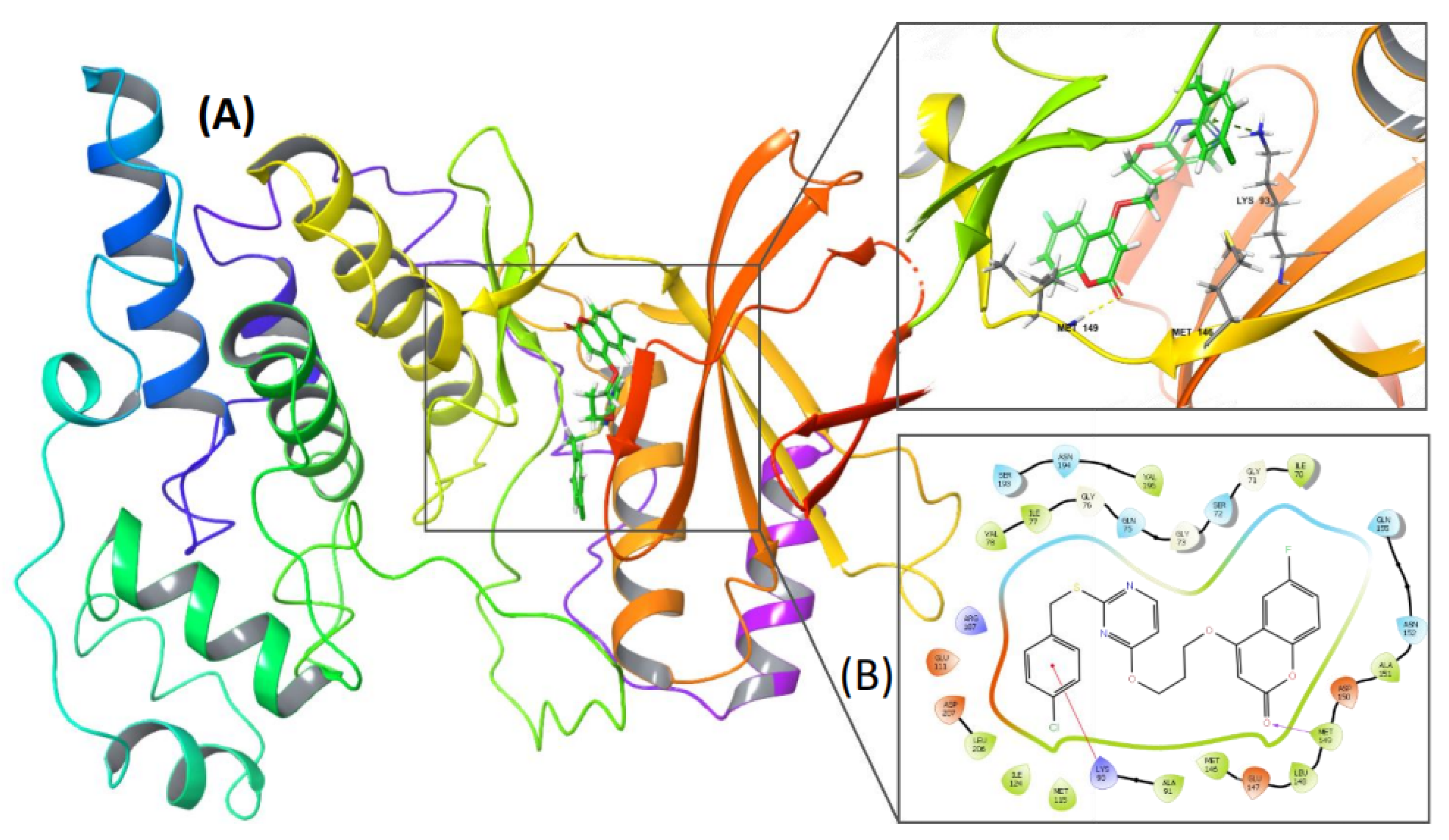 Molecules 28 03450 g007 Molecules 28 03450 g007