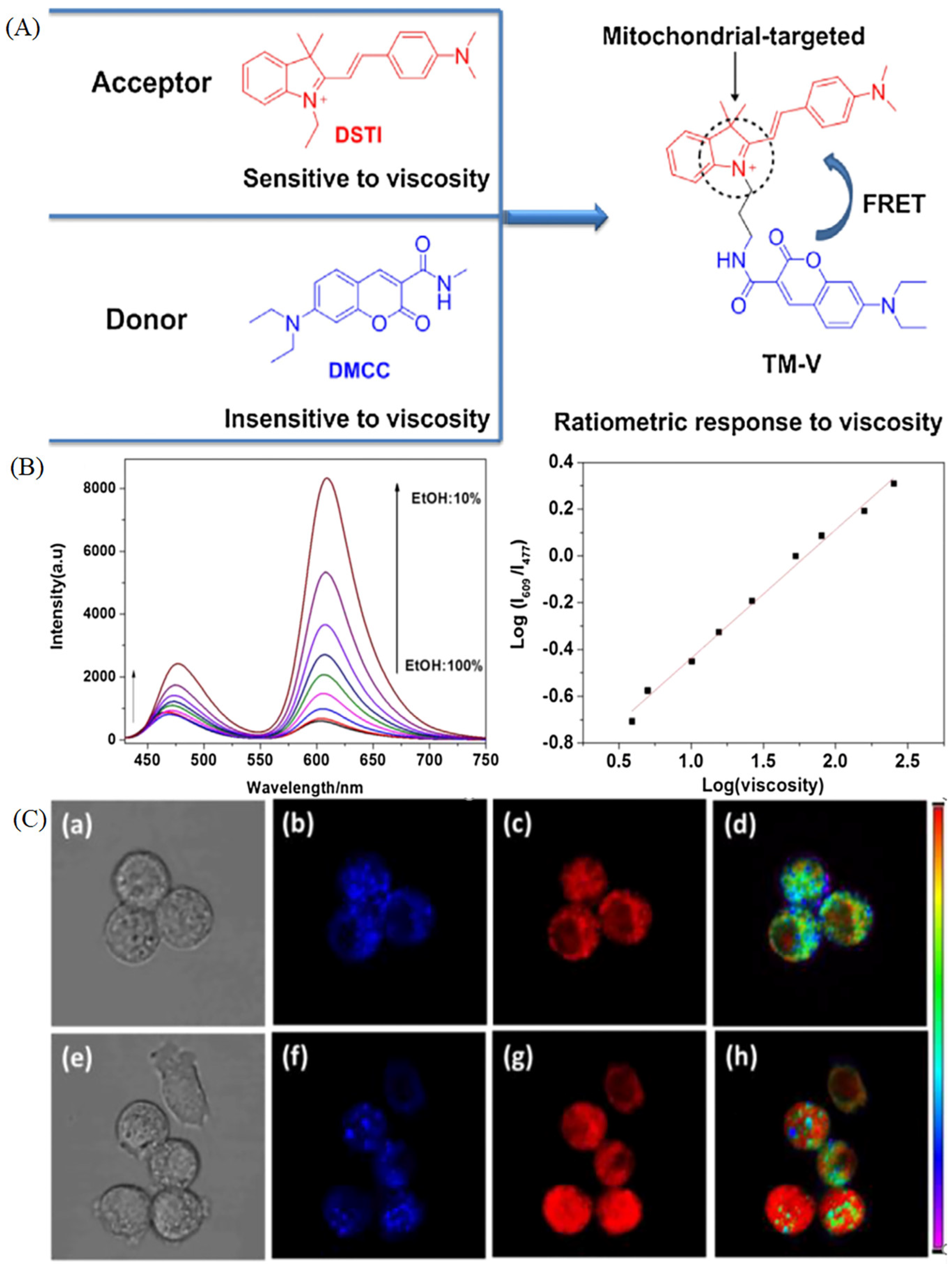Molecules 28 03455 g006