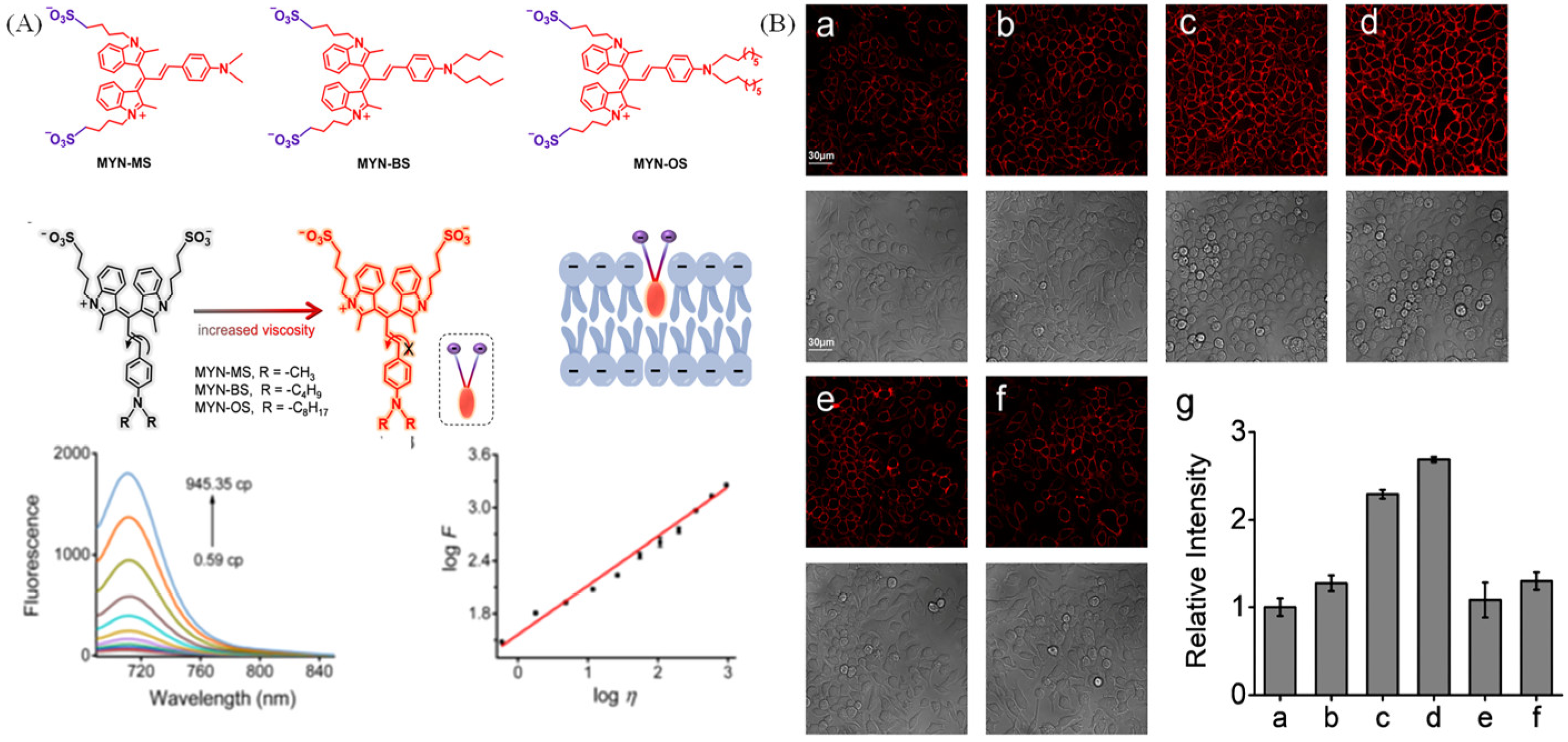 Molecules 28 03455 g012