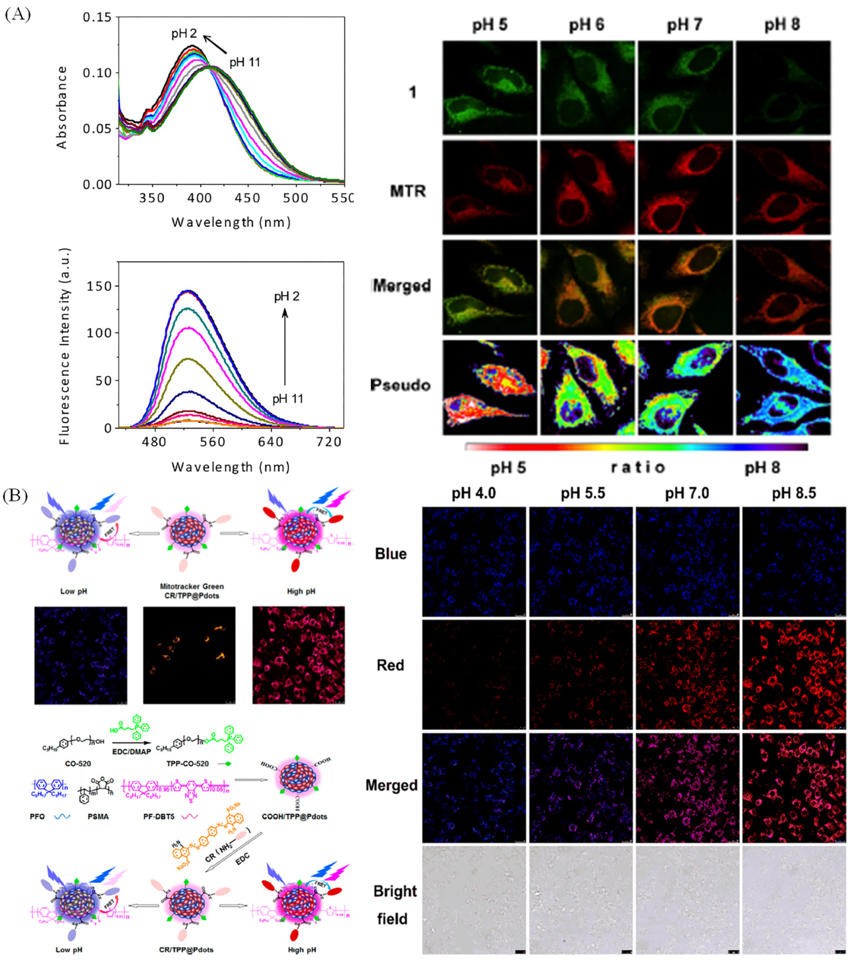 Molecules 28 03455 g014