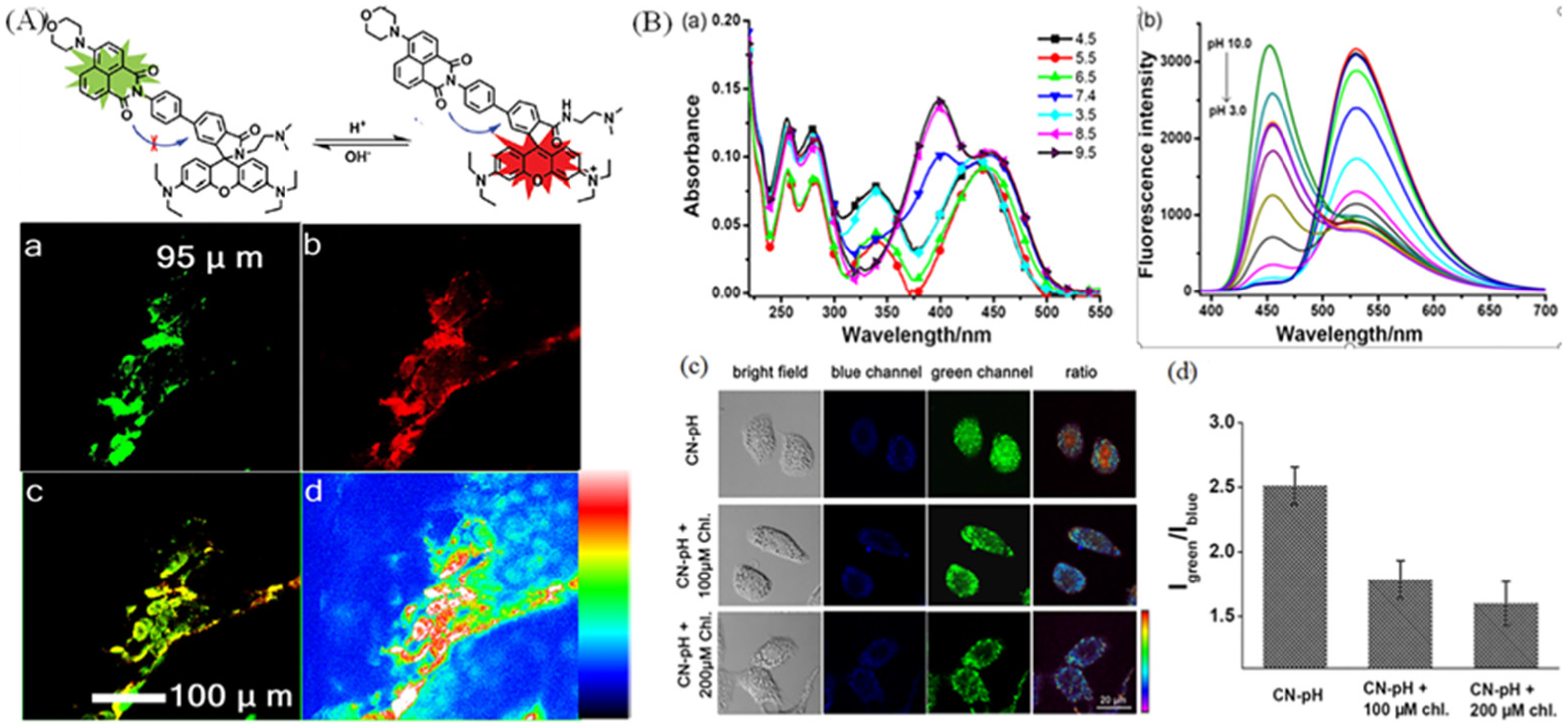Molecules 28 03455 g015