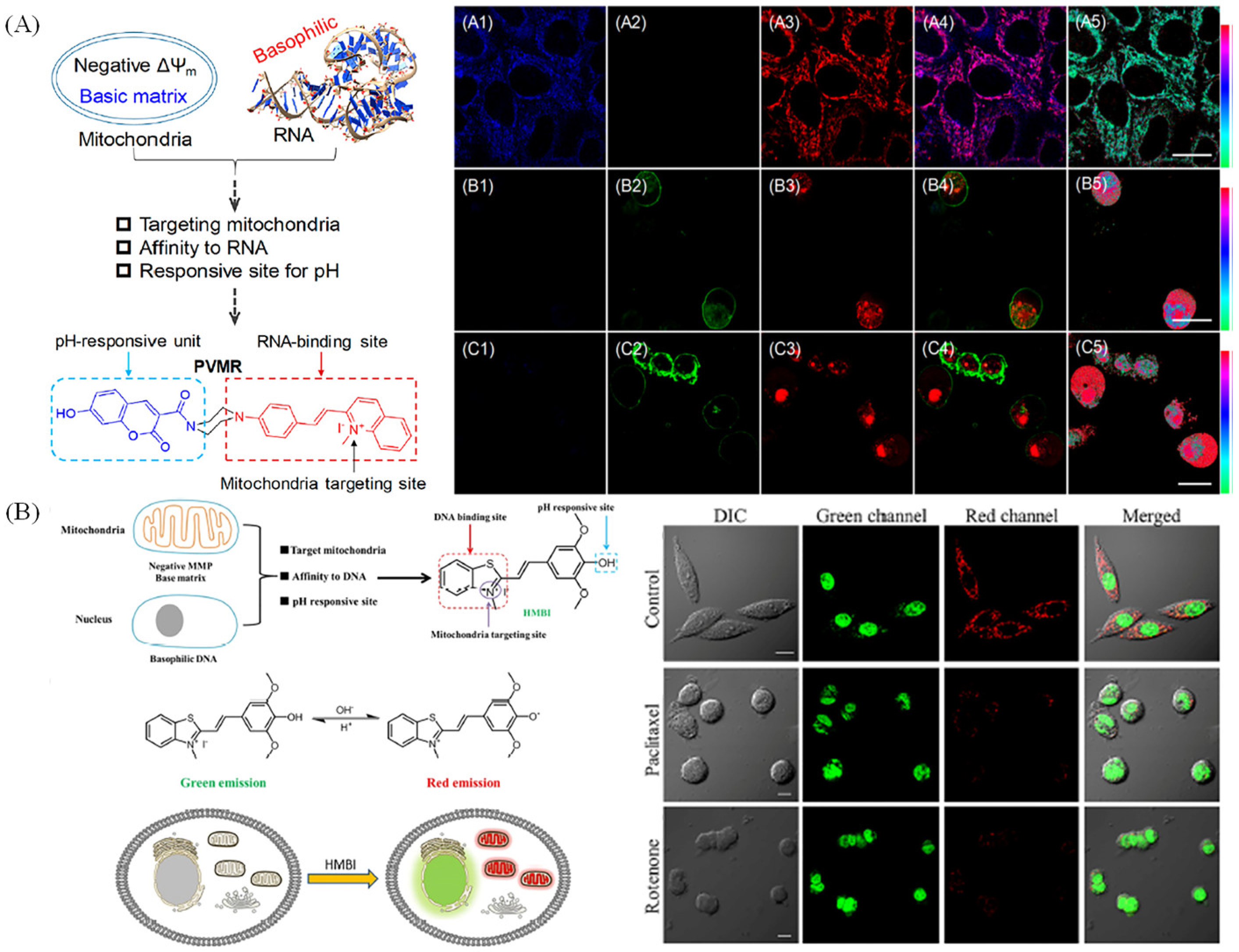 Molecules 28 03455 g018