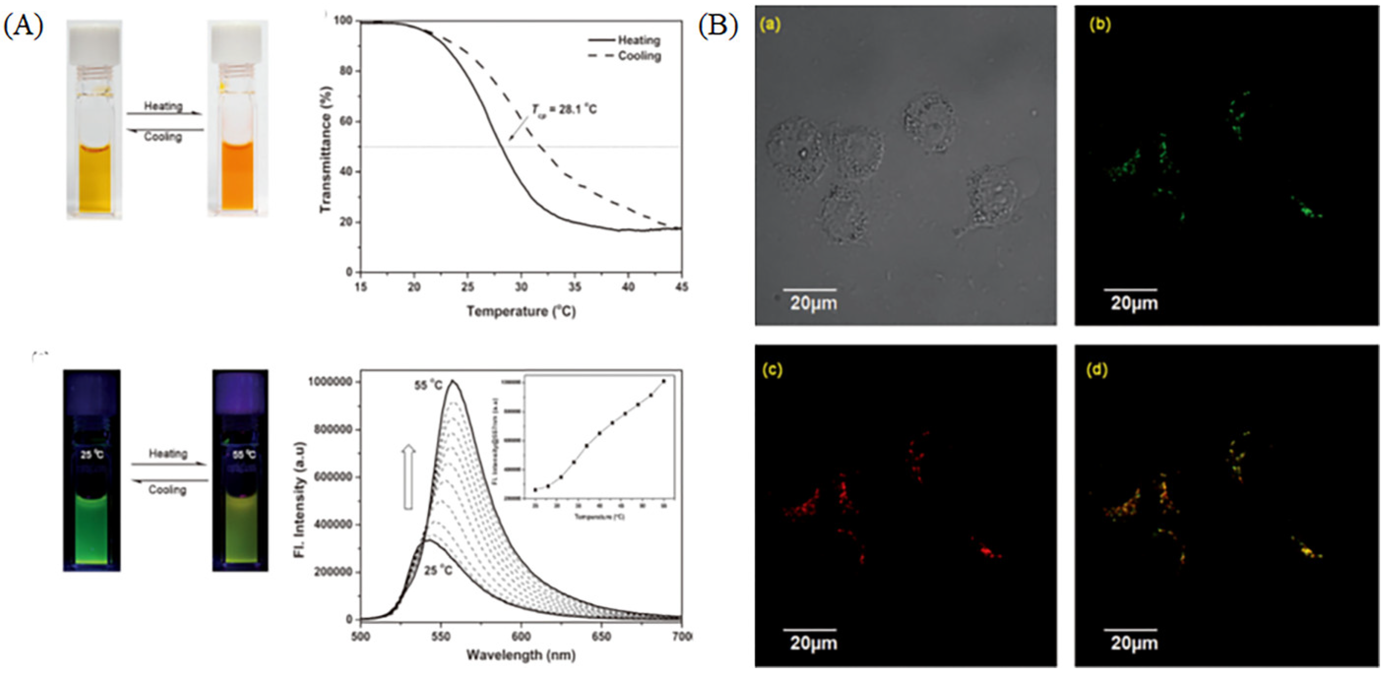 Molecules 28 03455 g024