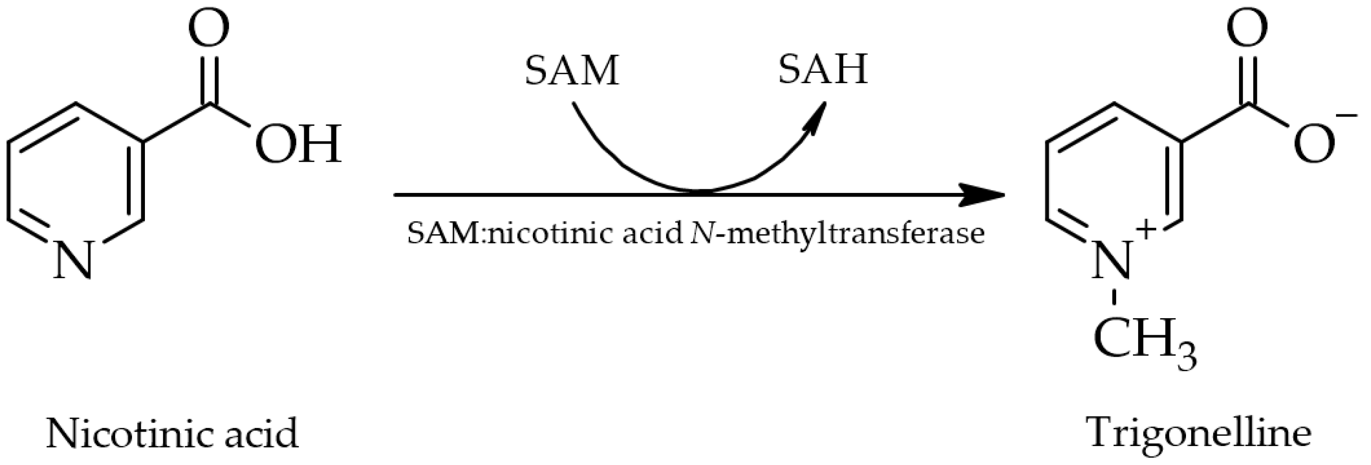 Molecules, Free Full-Text