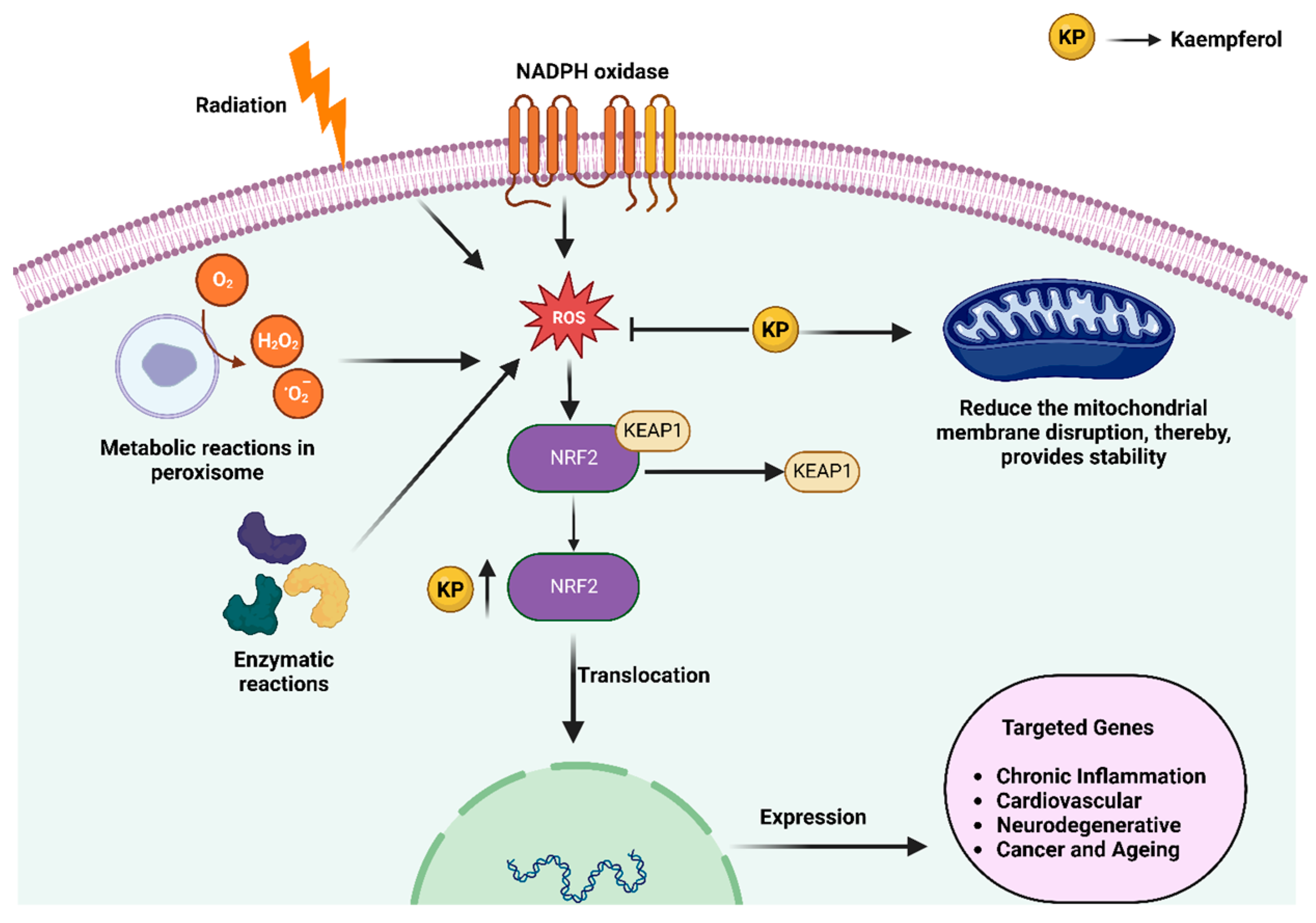 Molecules 28 03475 g002 Molecules 28 03475 g002