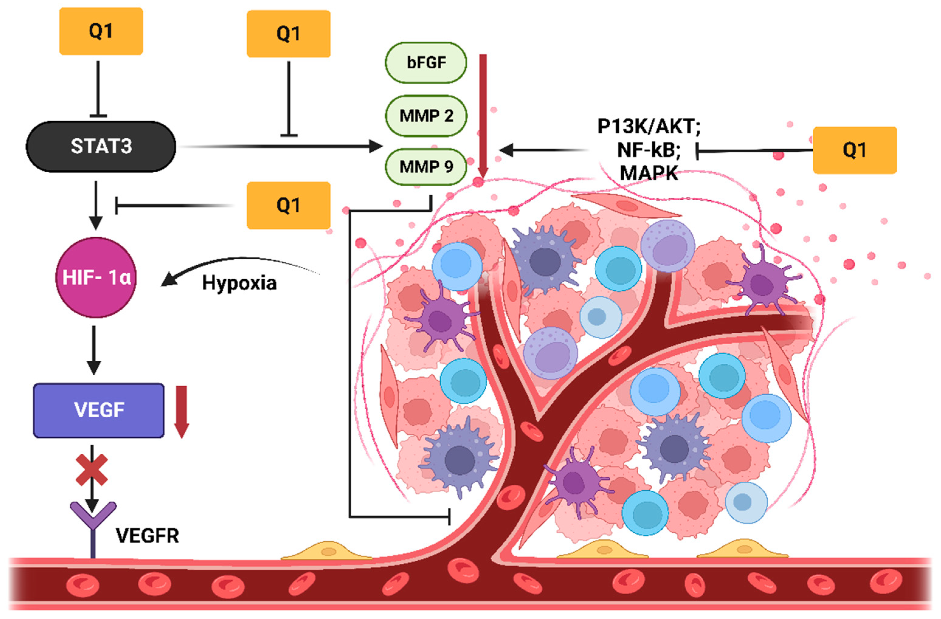 Molecules 28 03475 g004 Molecules 28 03475 g004