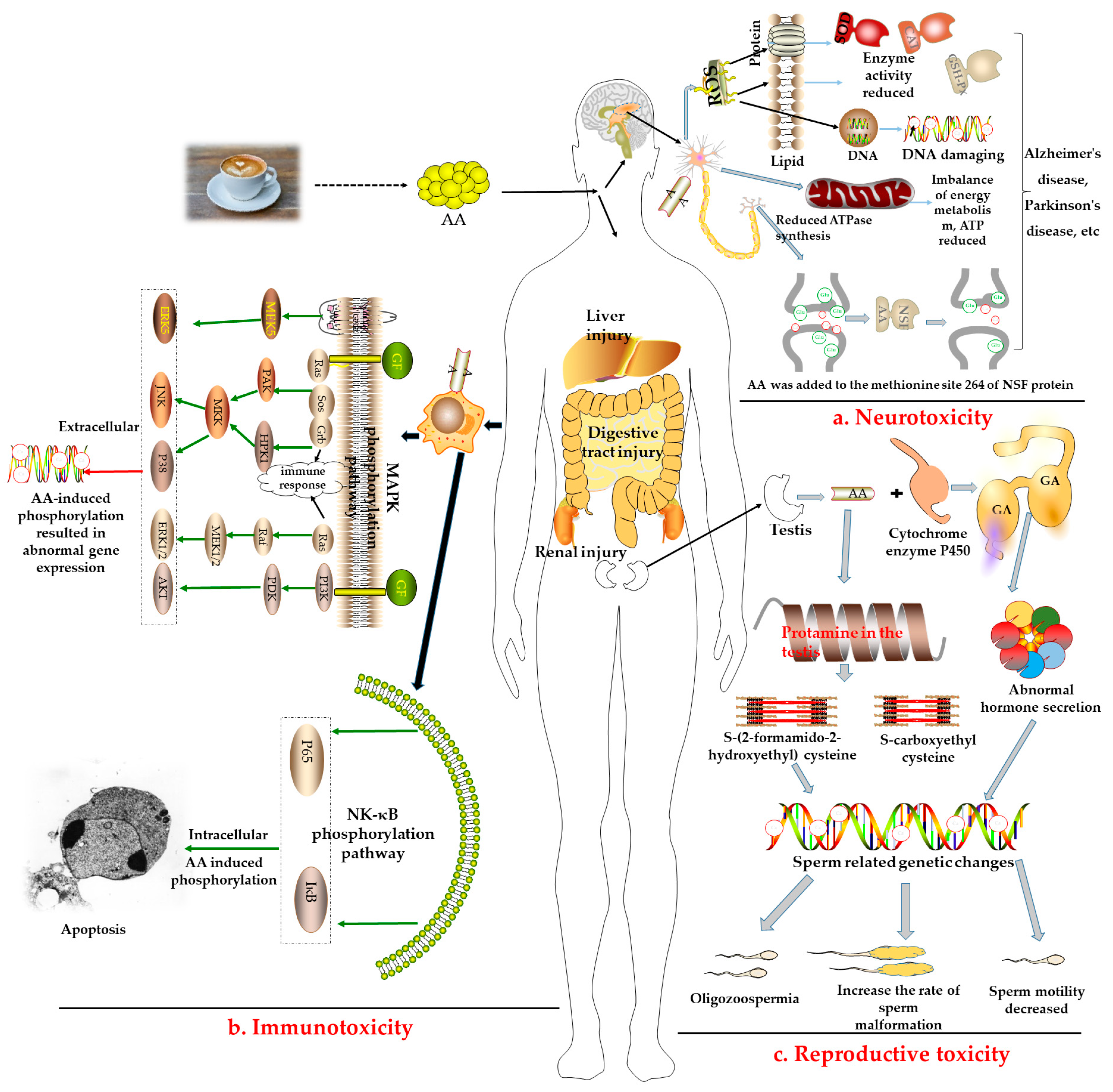 Molecules 28 03476 g002 Molecules 28 03476 g002
