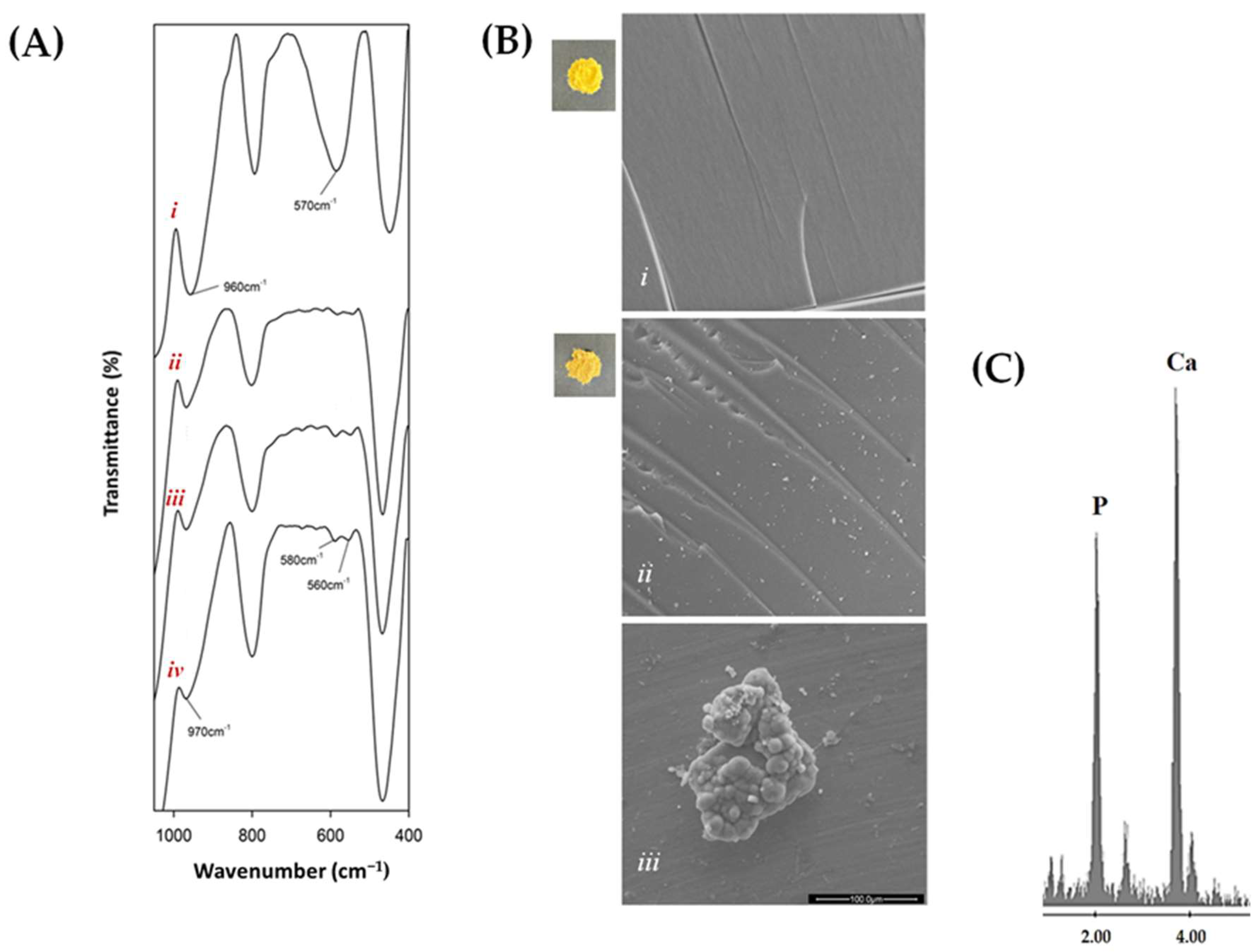 Molecules 28 03486 g003 Molecules 28 03486 g003
