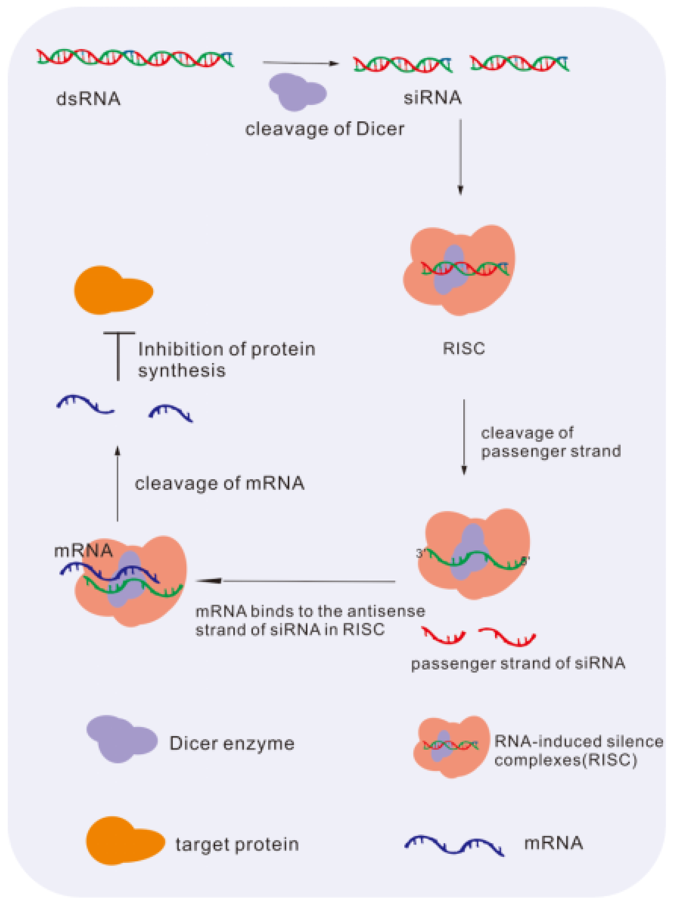 Molecules 28 03500 g004