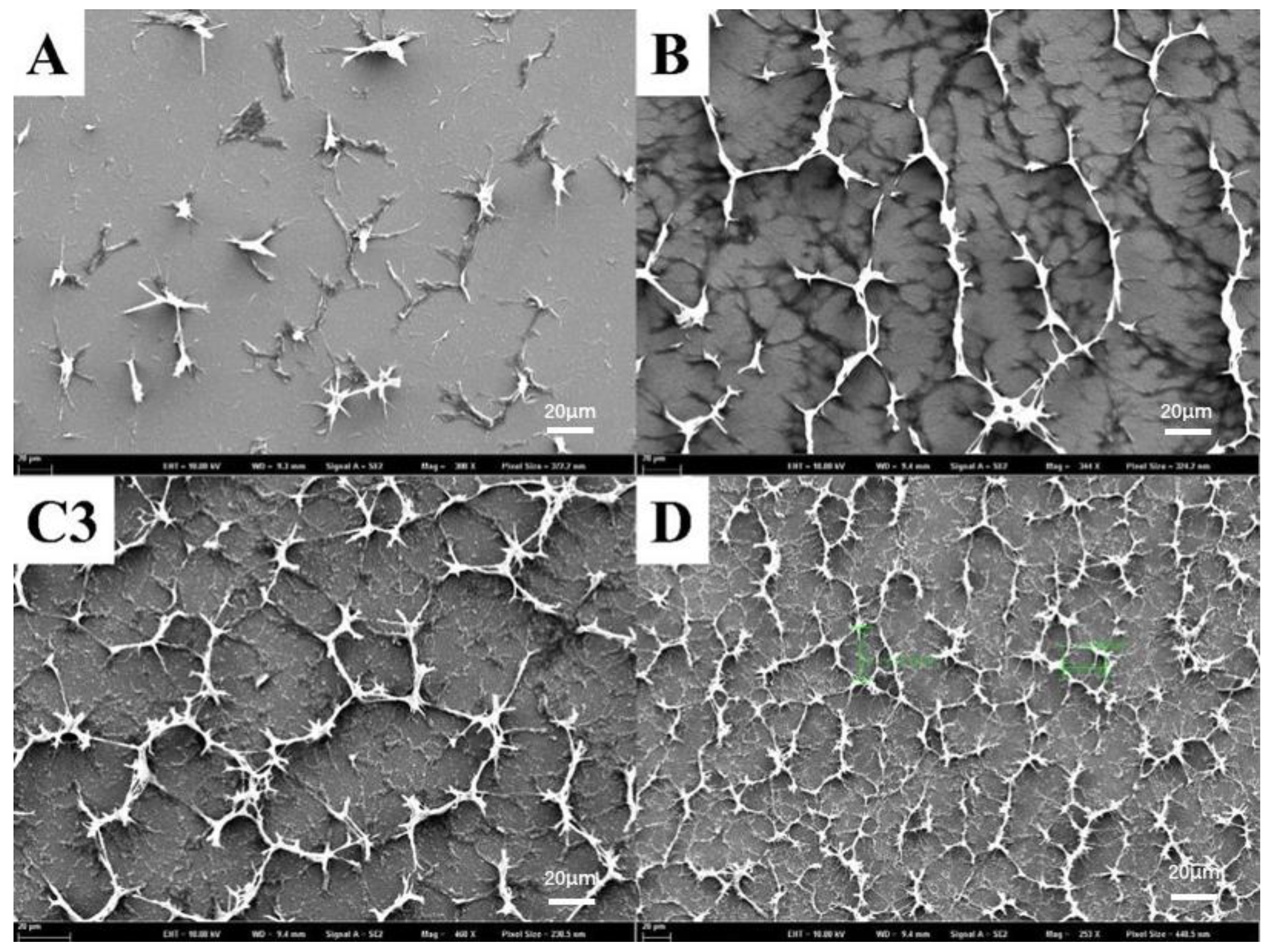 Molecules 28 03509 g003 Molecules 28 03509 g003