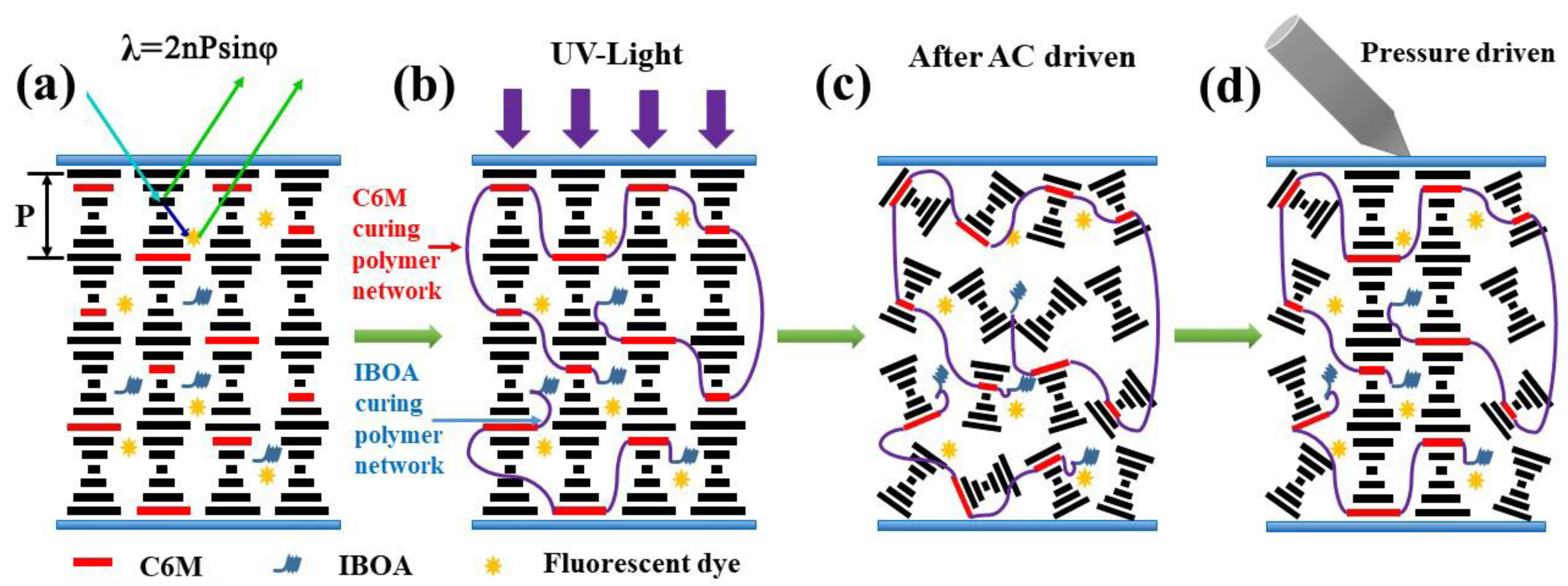 Molecules 28 03509 g009 Molecules 28 03509 g009