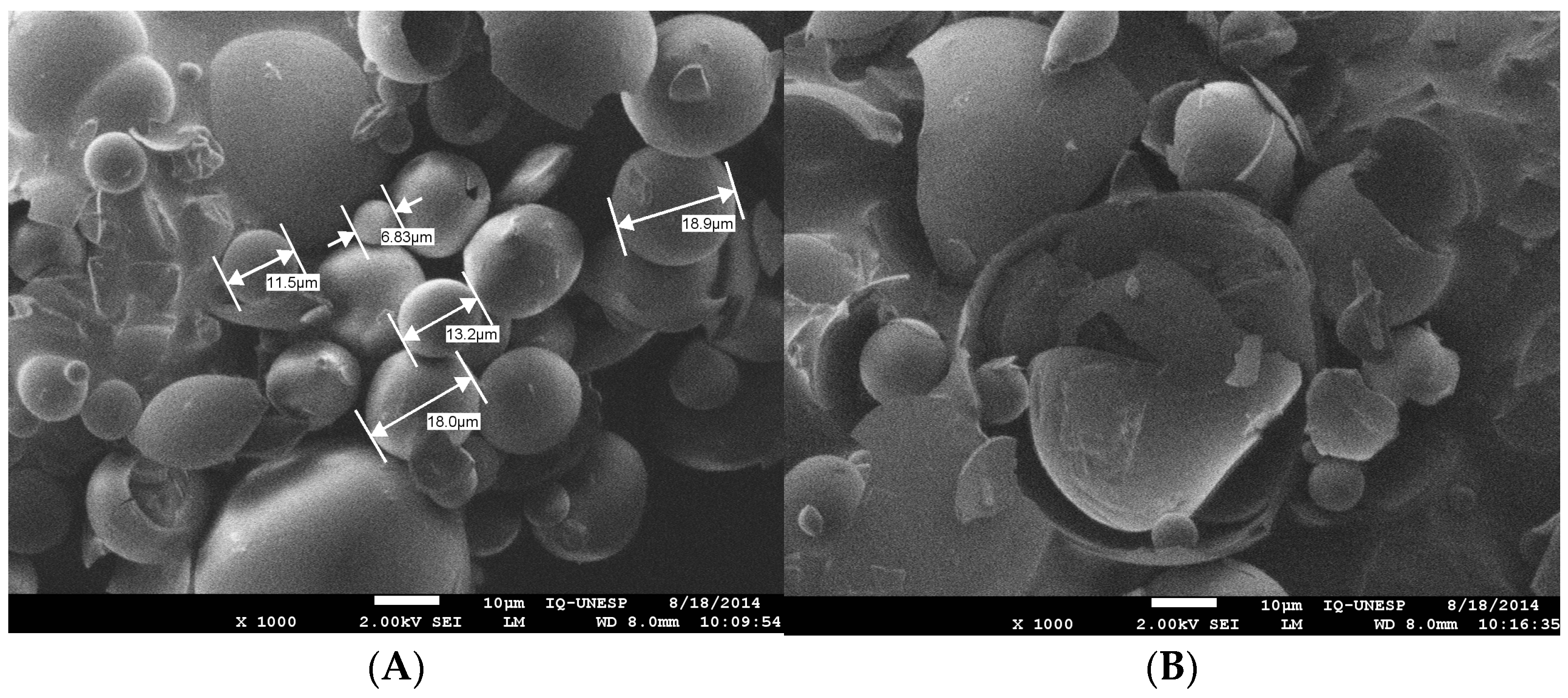 Molecules 28 03510 g002 Molecules 28 03510 g002