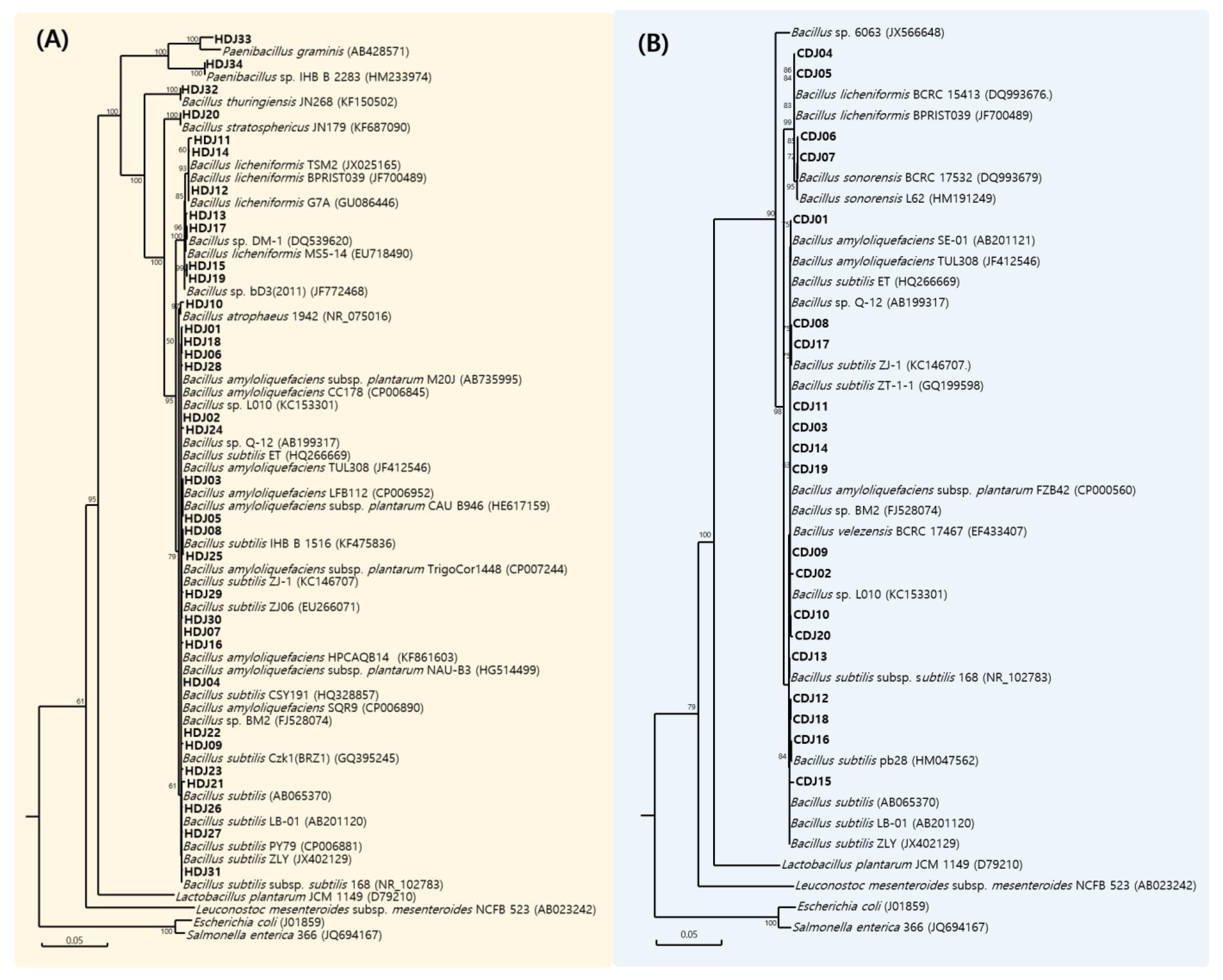 Molecules 28 03516 g001 Molecules 28 03516 g001