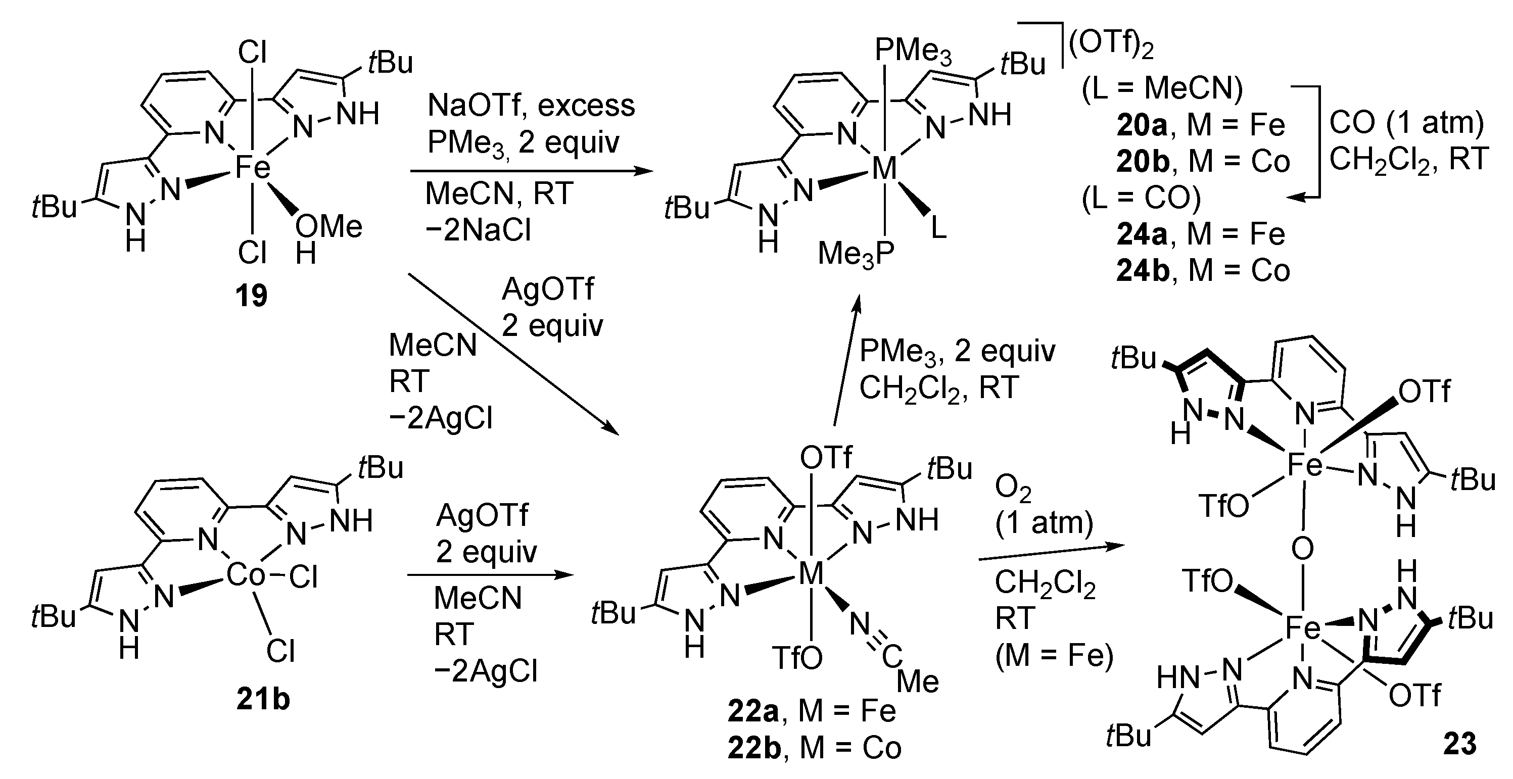 Molecules 28 03529 sch007