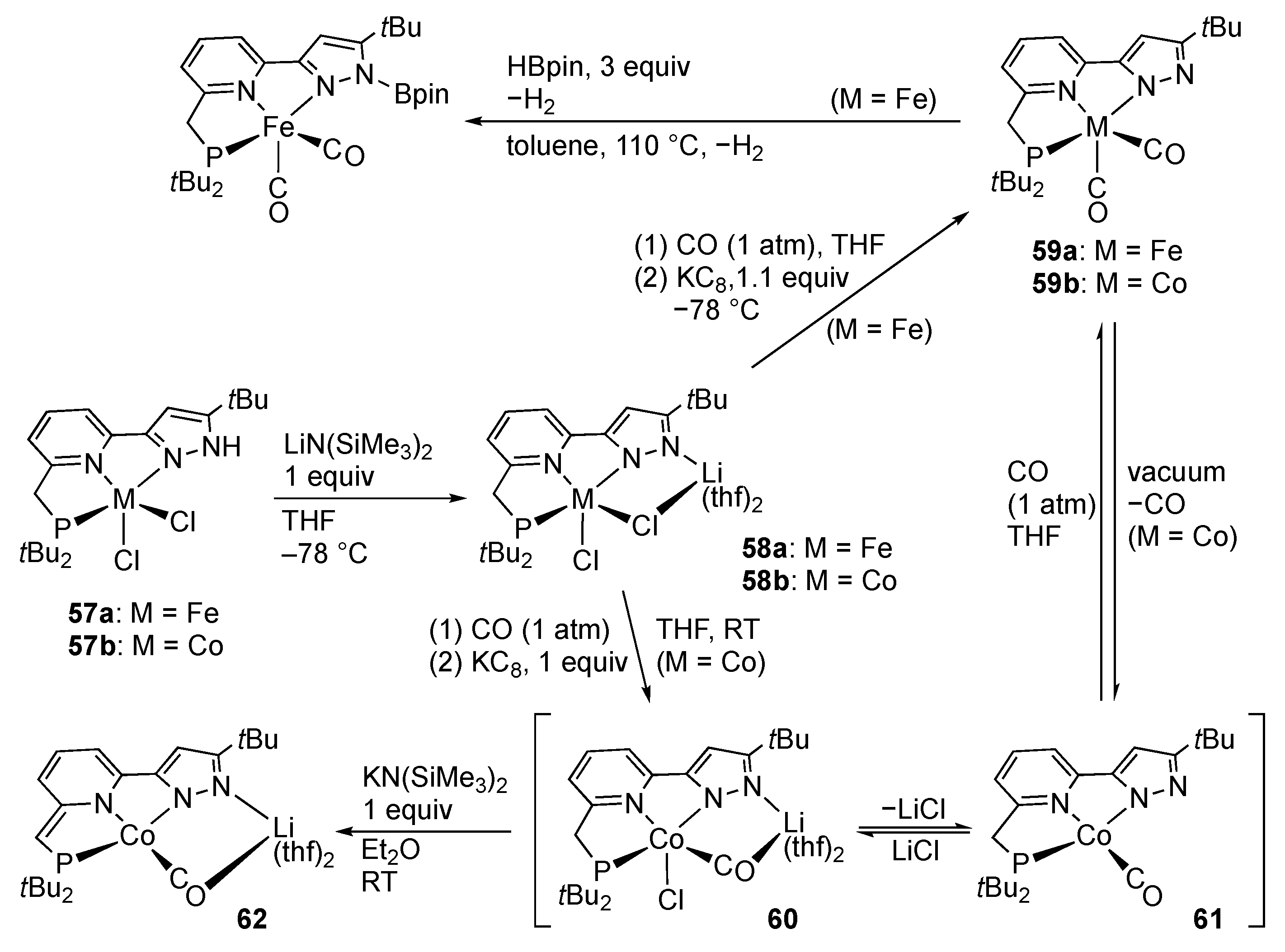 Molecules 28 03529 sch017