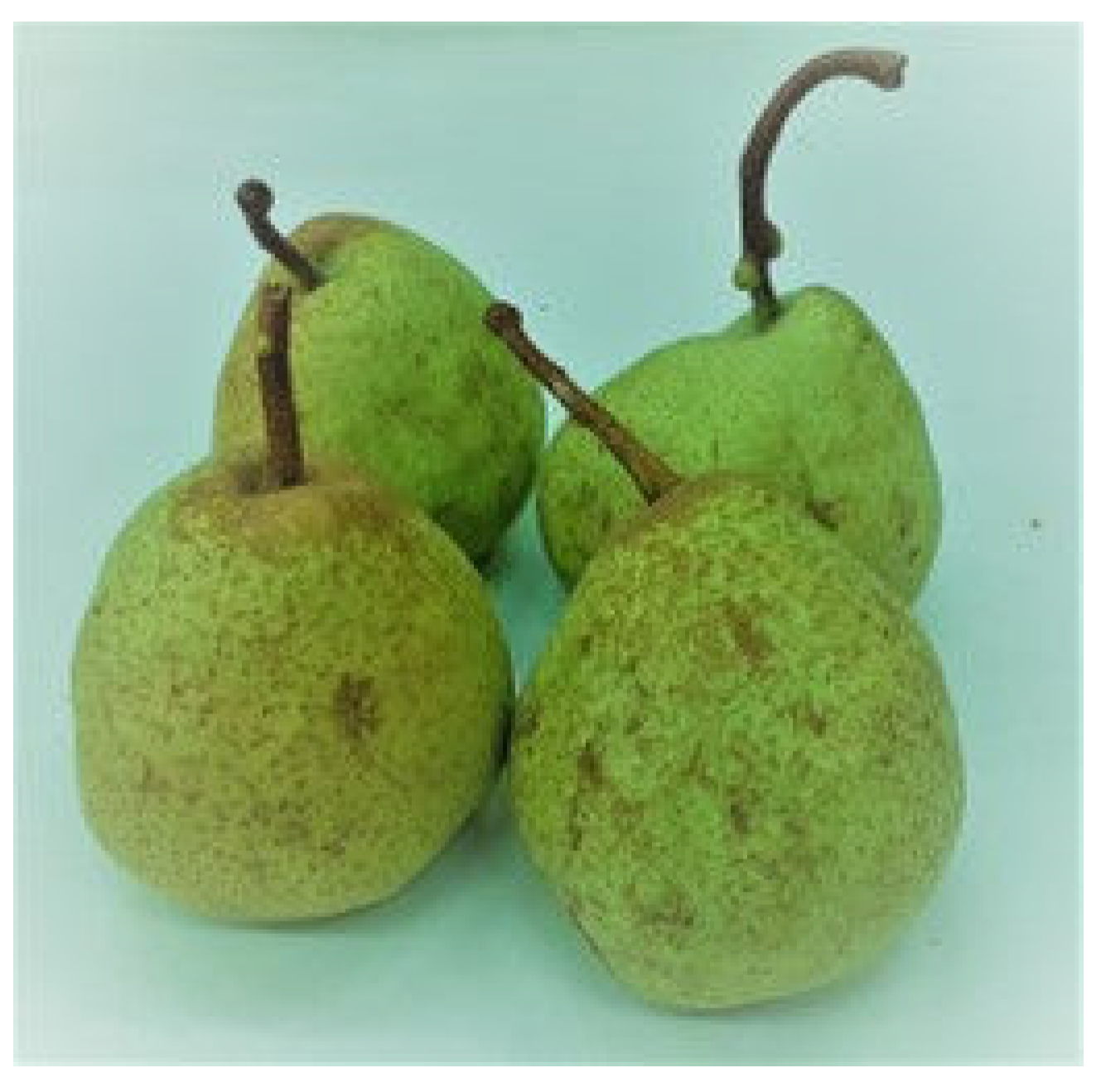 Organic Bagged Bosc Pears at Whole Foods Market