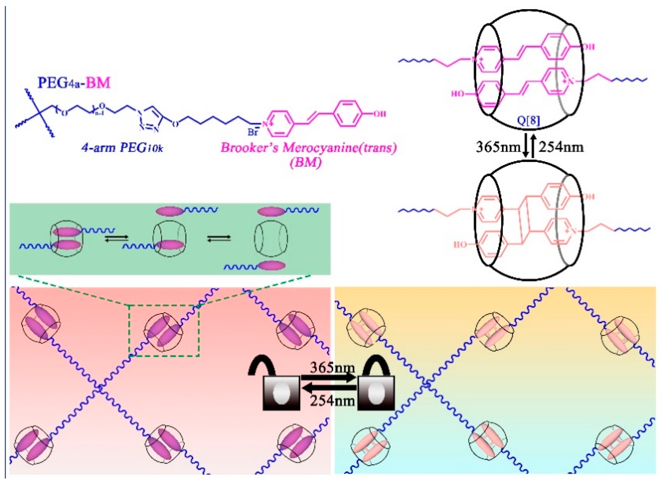 Molecules 28 03566 g003 Molecules 28 03566 g003
