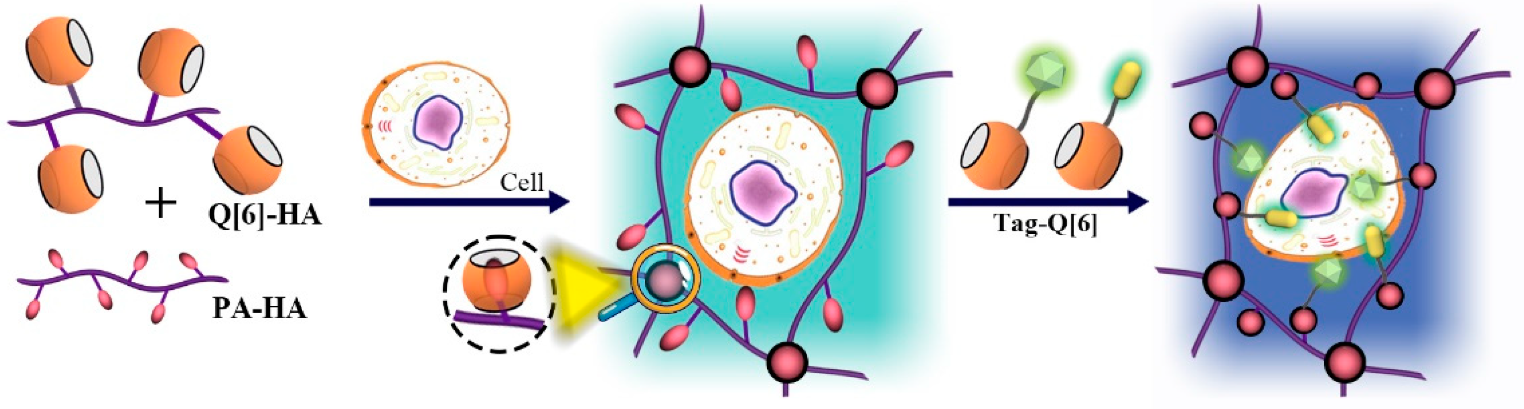 Molecules 28 03566 g004 Molecules 28 03566 g004