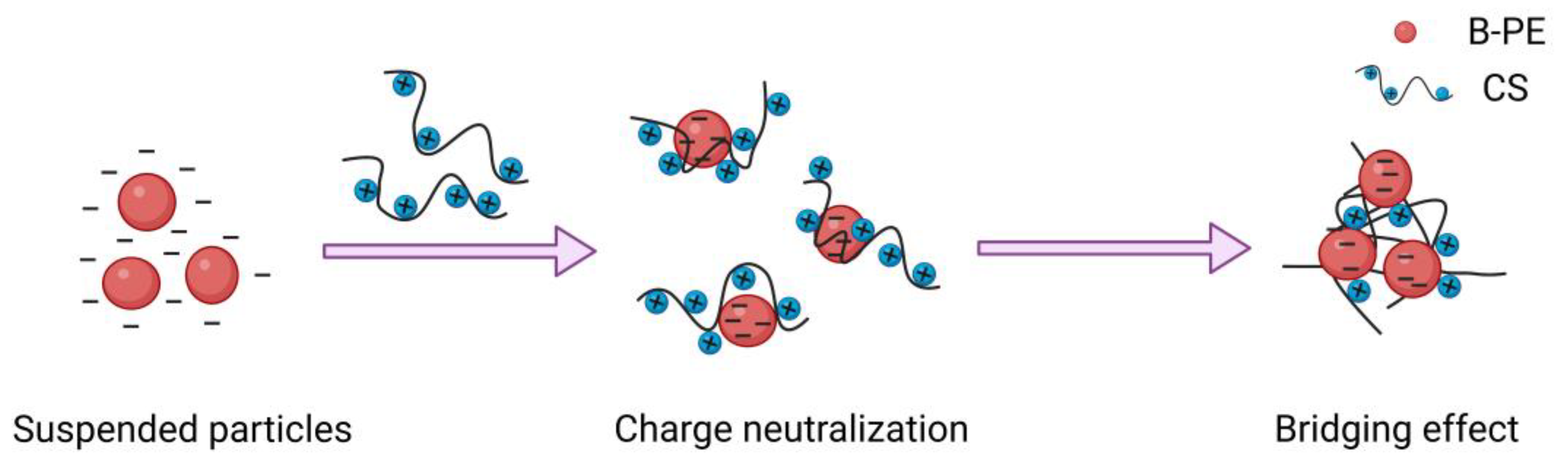 Molecules 28 03600 g008 Molecules 28 03600 g008
