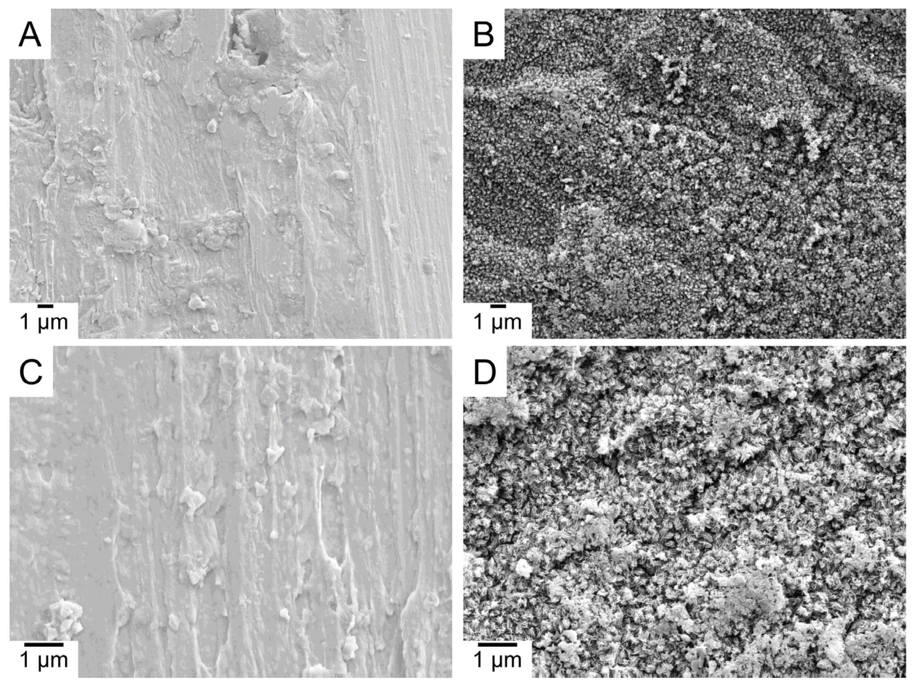 Molecules 28 03611 g001 Molecules 28 03611 g001
