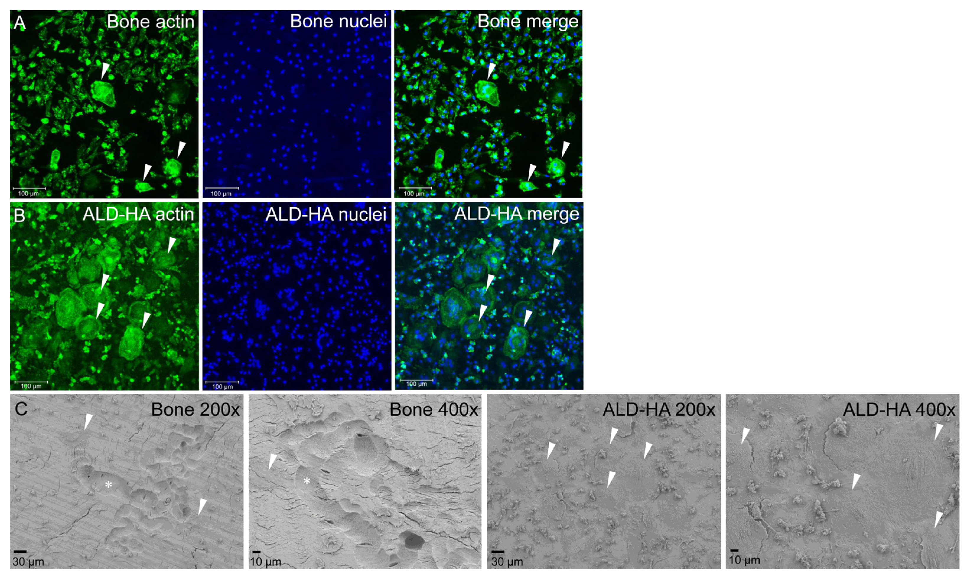 Molecules 28 03611 g003 Molecules 28 03611 g003