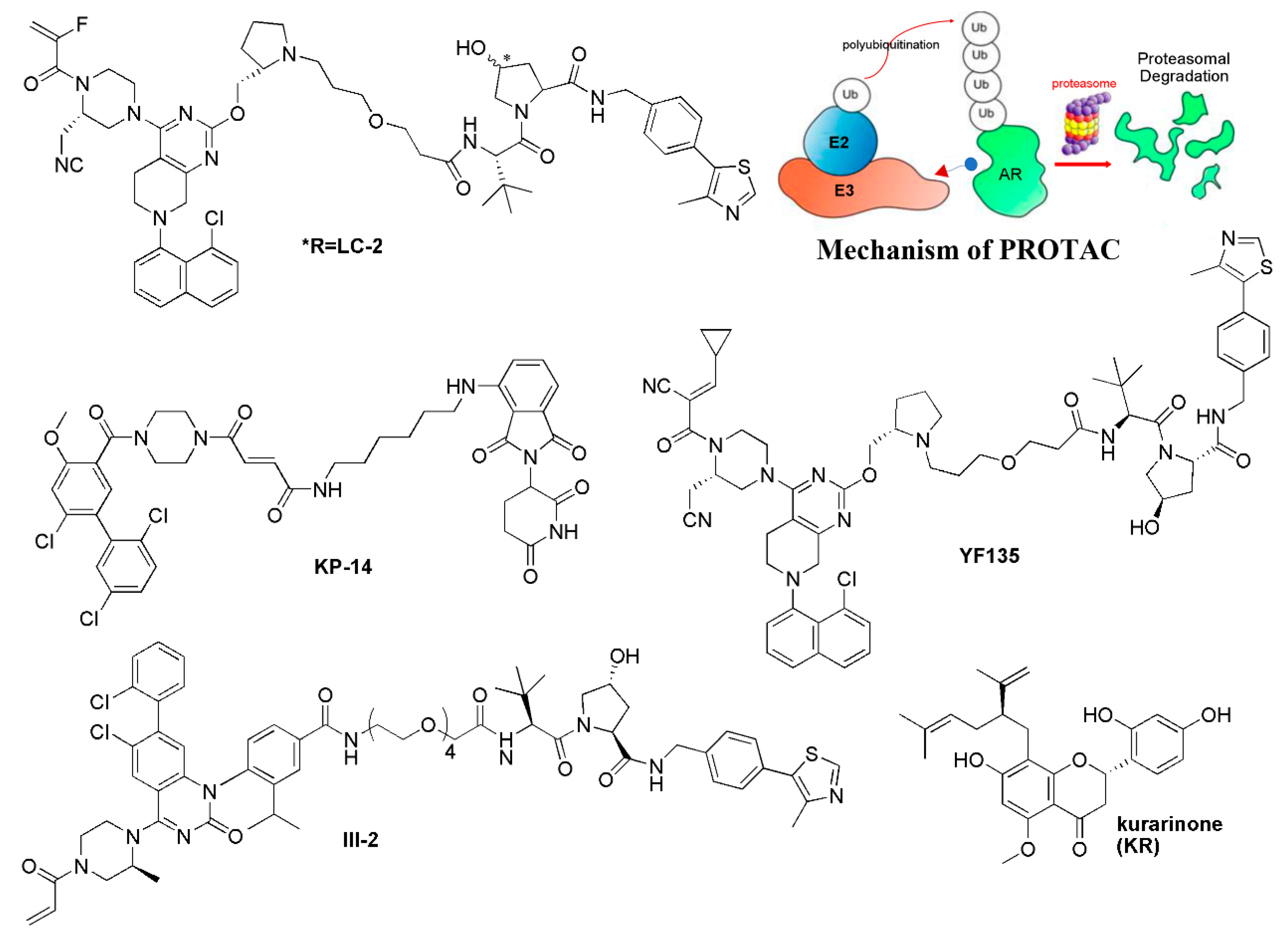 Molecules 28 03615 g004 Molecules 28 03615 g004