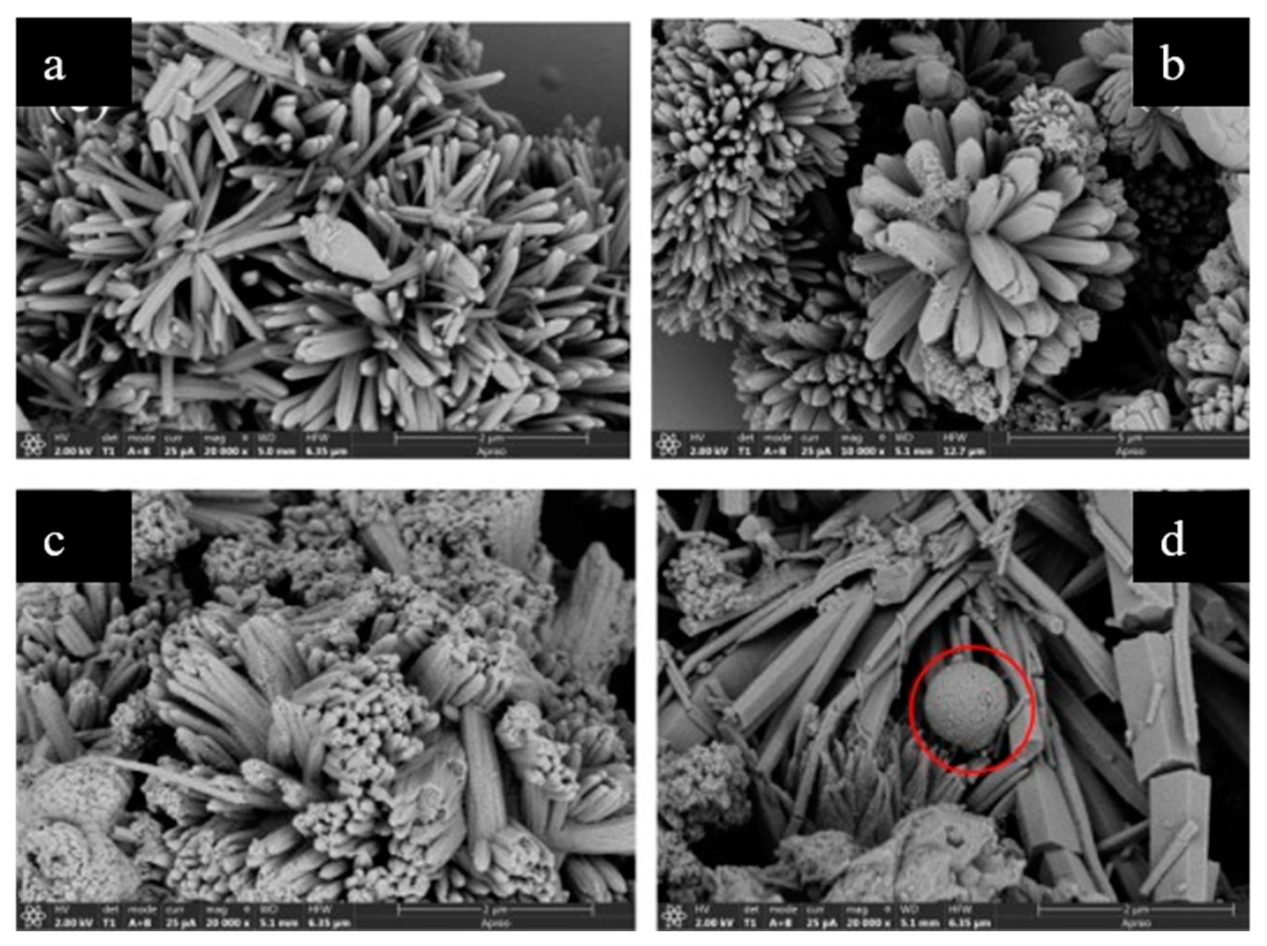 Molecules 28 03622 g012 Molecules 28 03622 g012