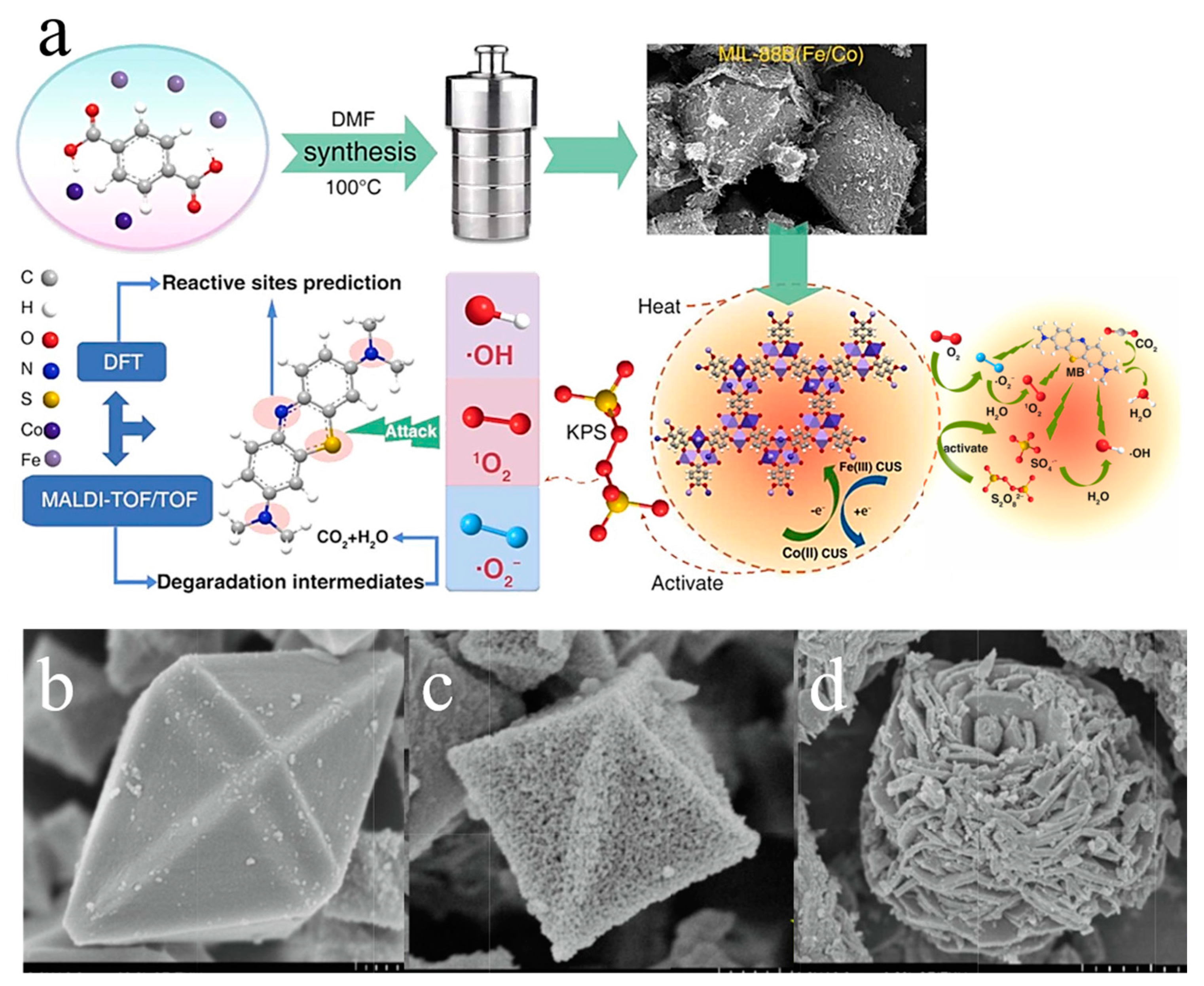 Molecules 28 03622 g013 Molecules 28 03622 g013