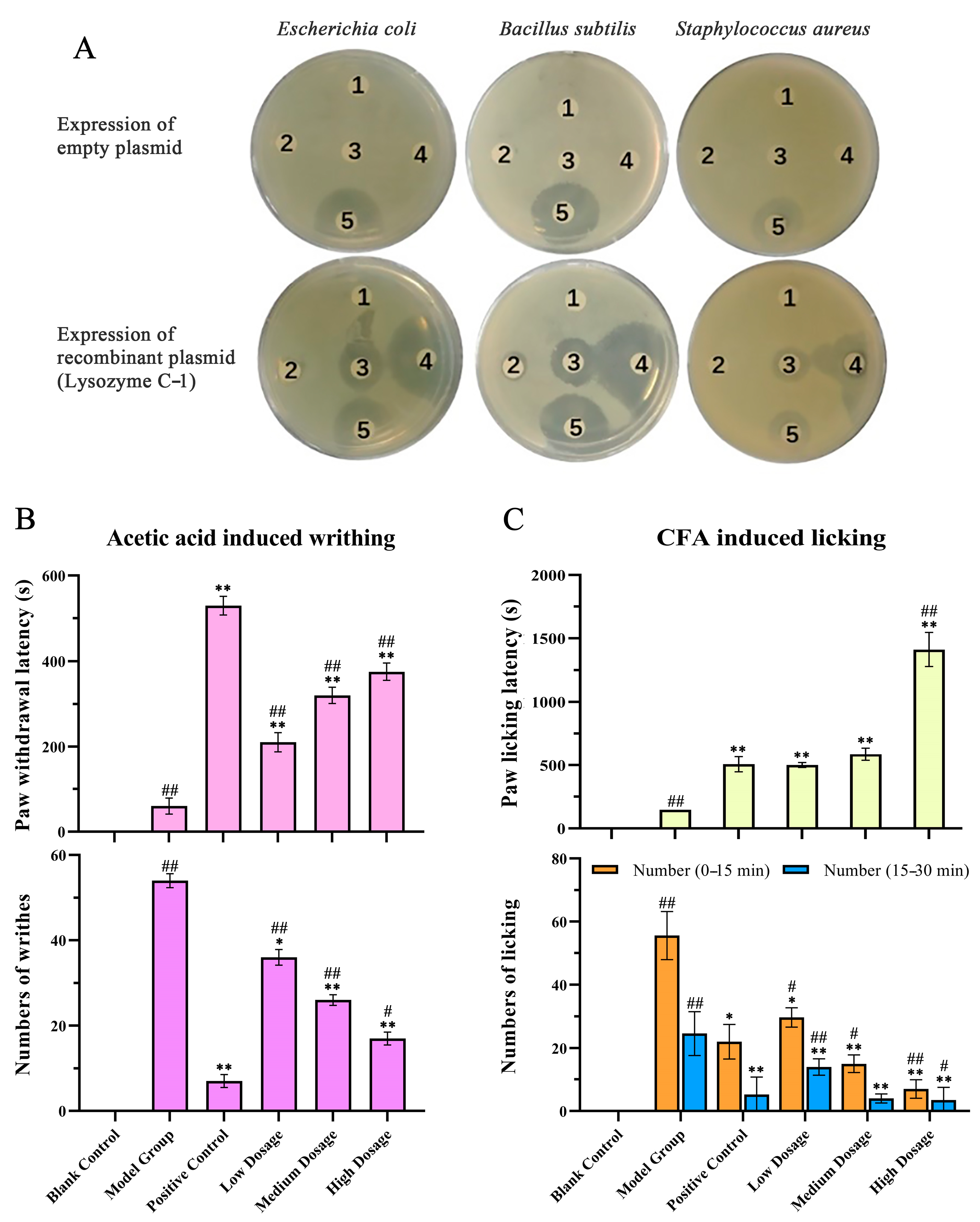 Molecules 28 03628 g006 Molecules 28 03628 g006