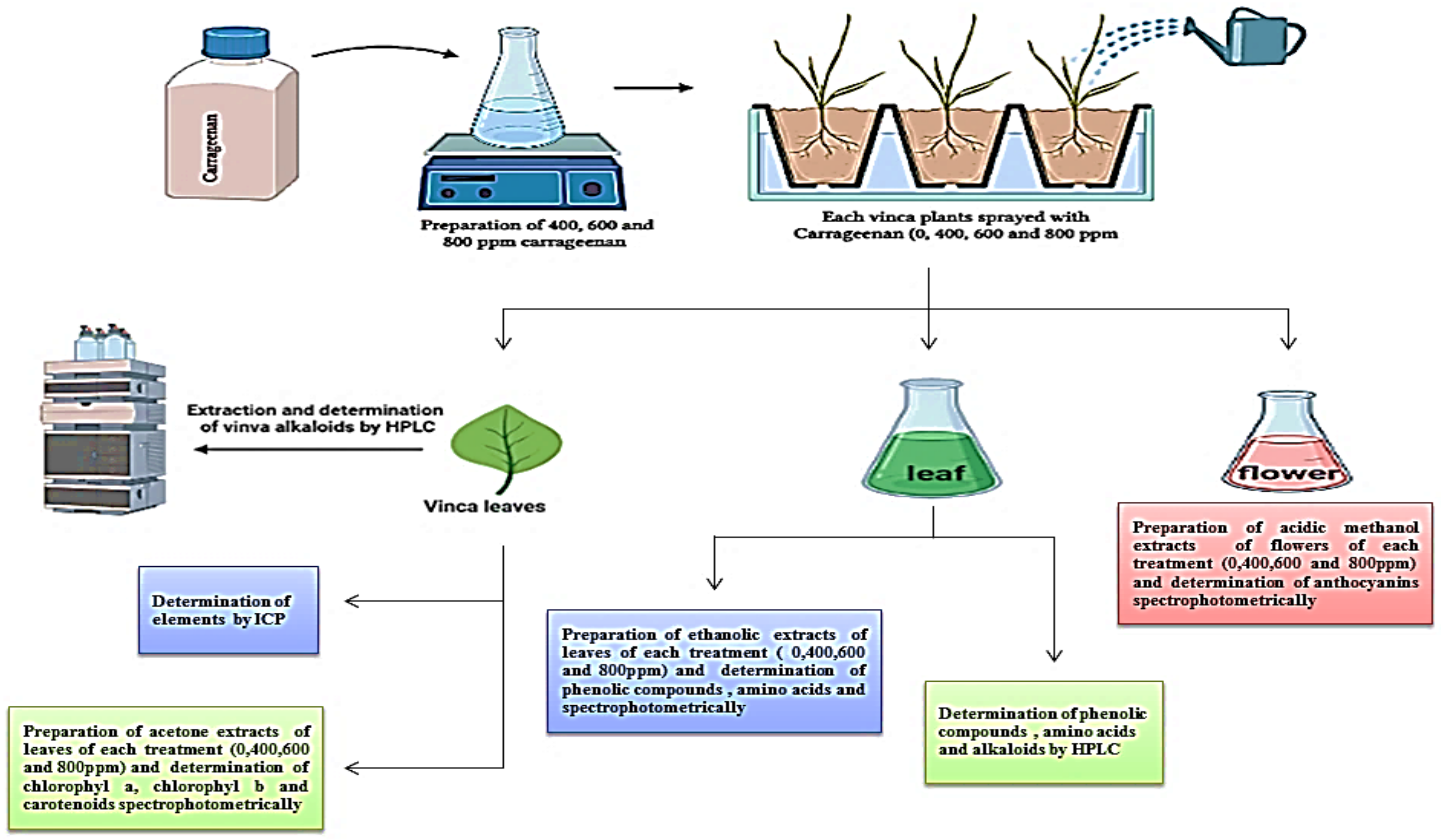 Molecules 28 03642 g004