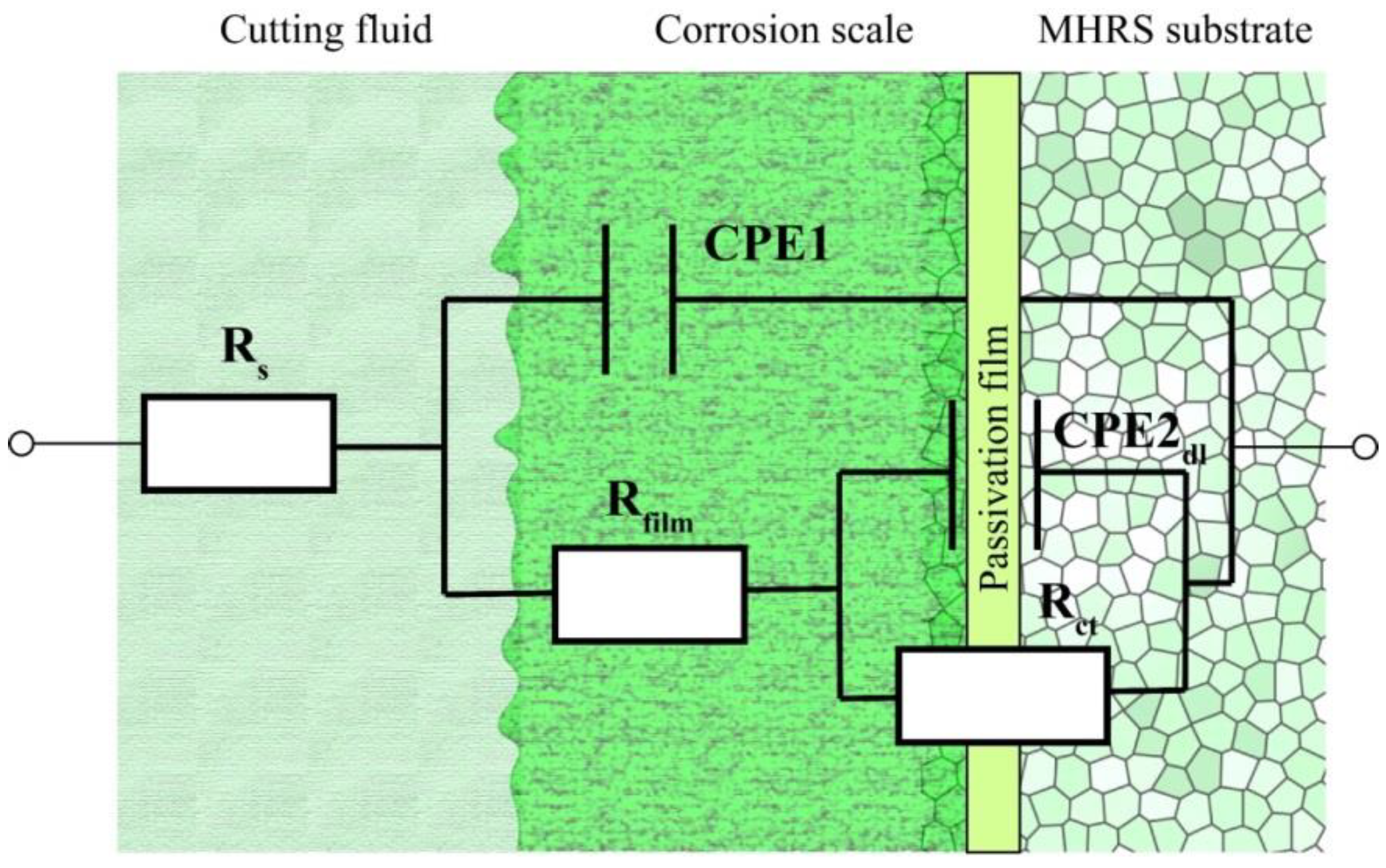 Molecules 28 03648 g005 Molecules 28 03648 g005