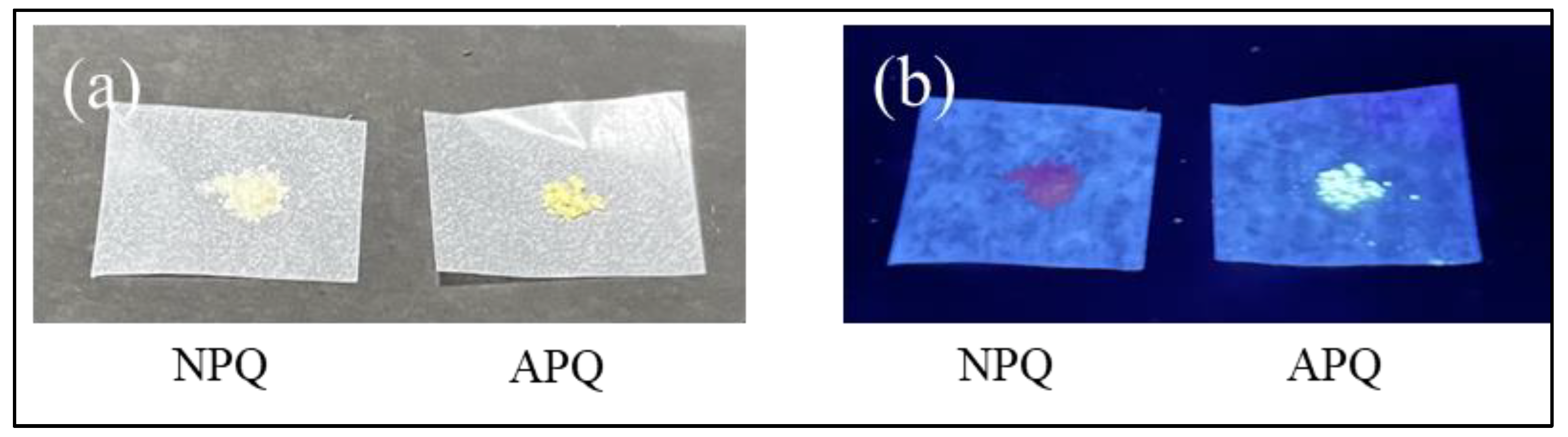 Molecules 28 03654 g012 Molecules 28 03654 g012