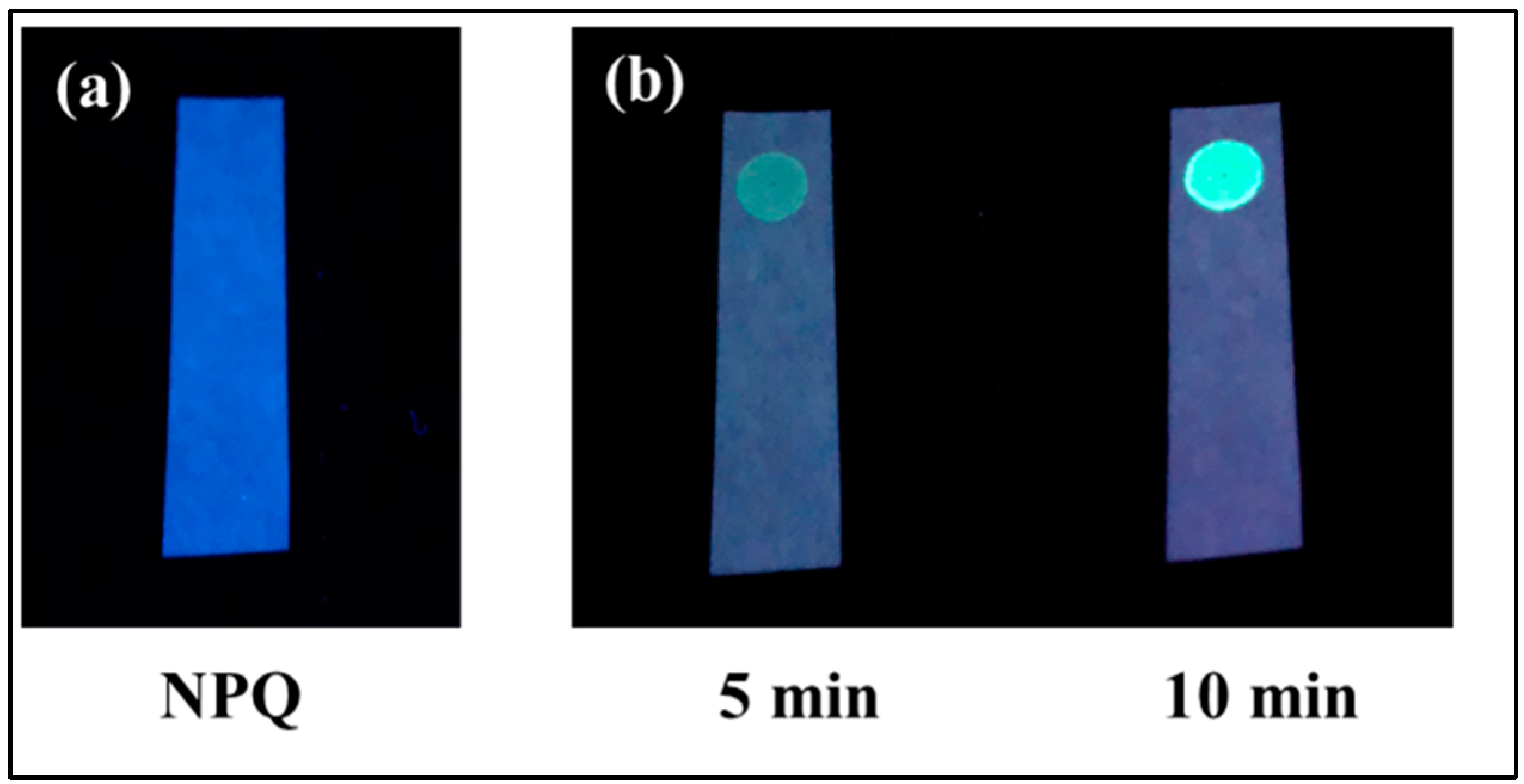 Molecules 28 03654 g013 Molecules 28 03654 g013