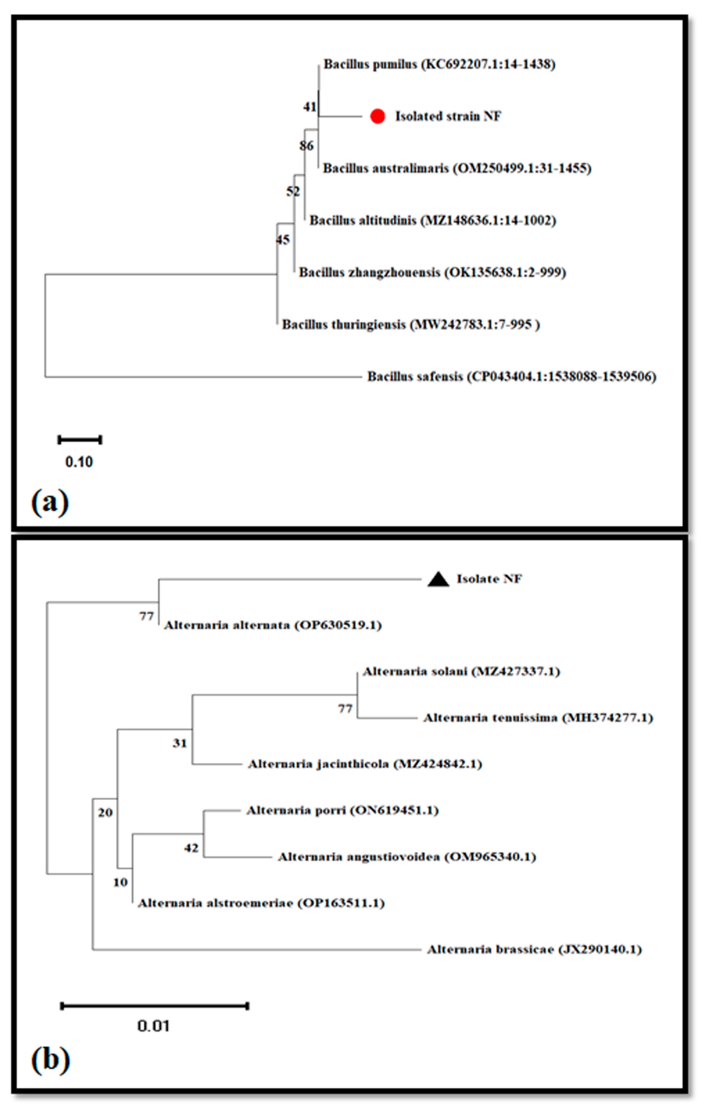 Molecules 28 03666 g003