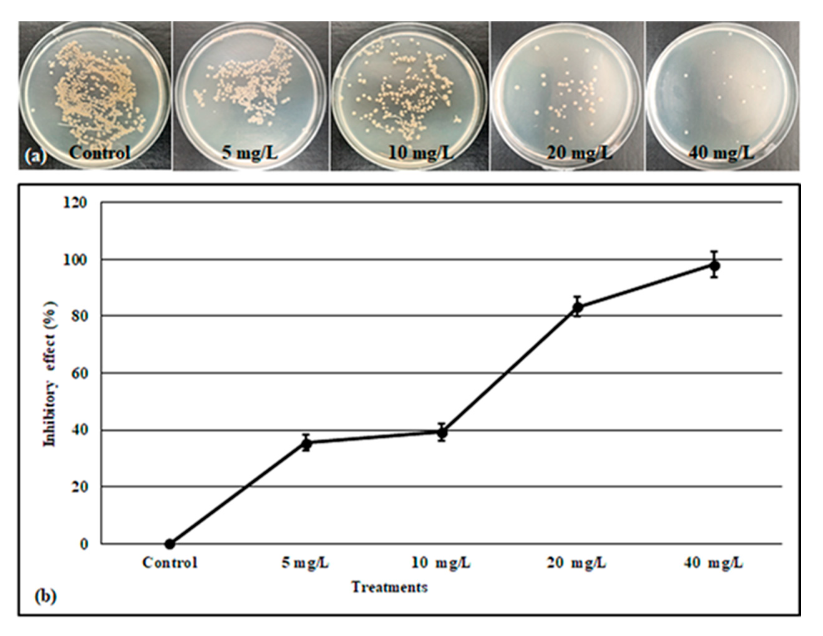 Molecules 28 03666 g005