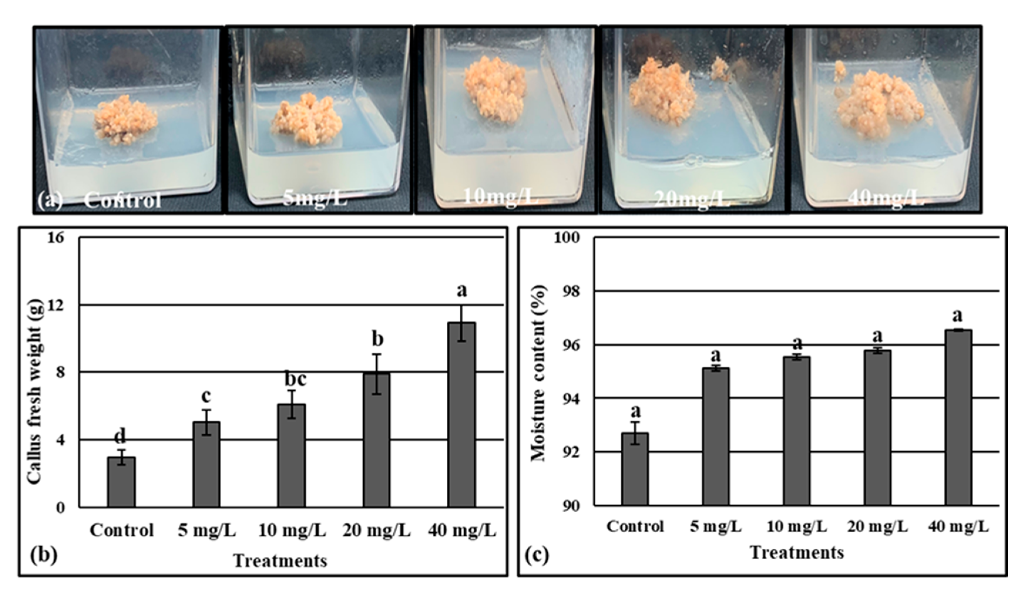 Molecules 28 03666 g006