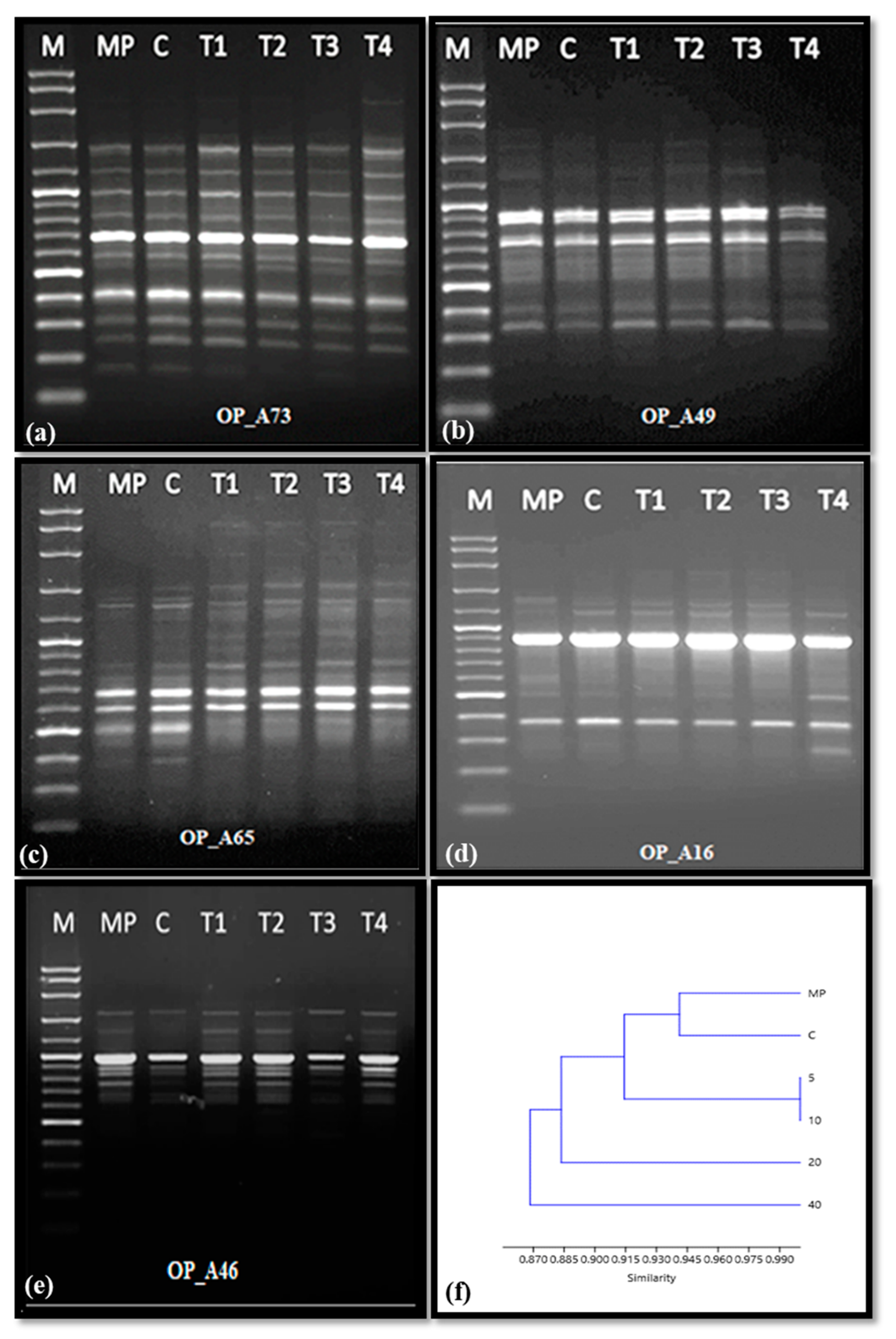 Molecules 28 03666 g007