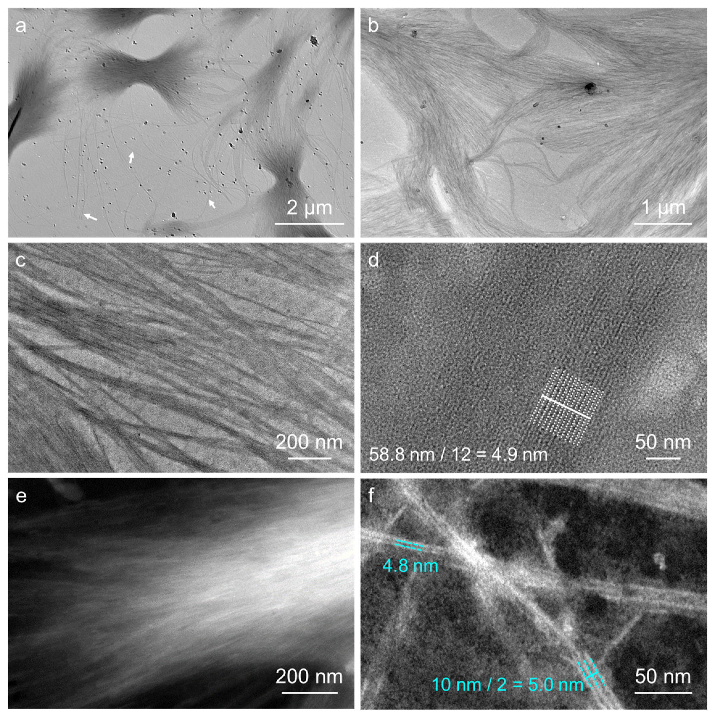 Molecules 28 03677 g009 Molecules 28 03677 g009