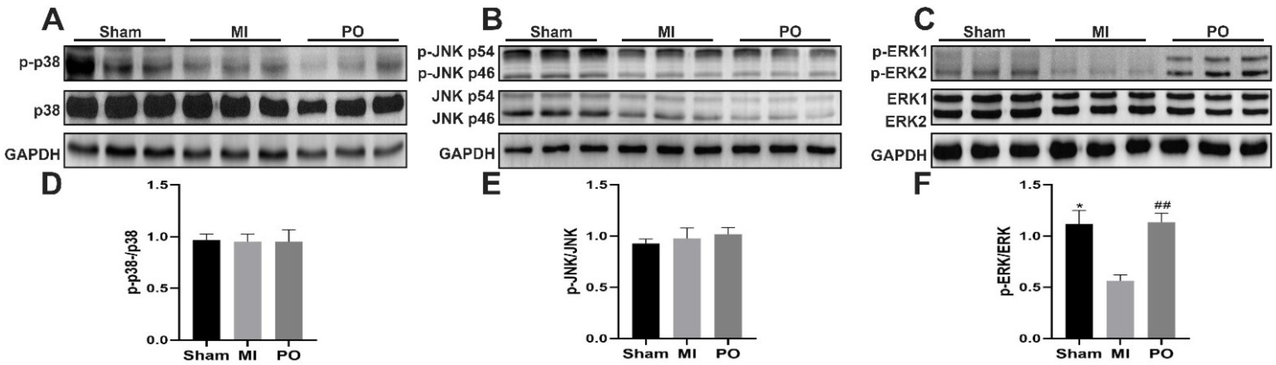 Molecules 28 03687 g005 Molecules 28 03687 g005