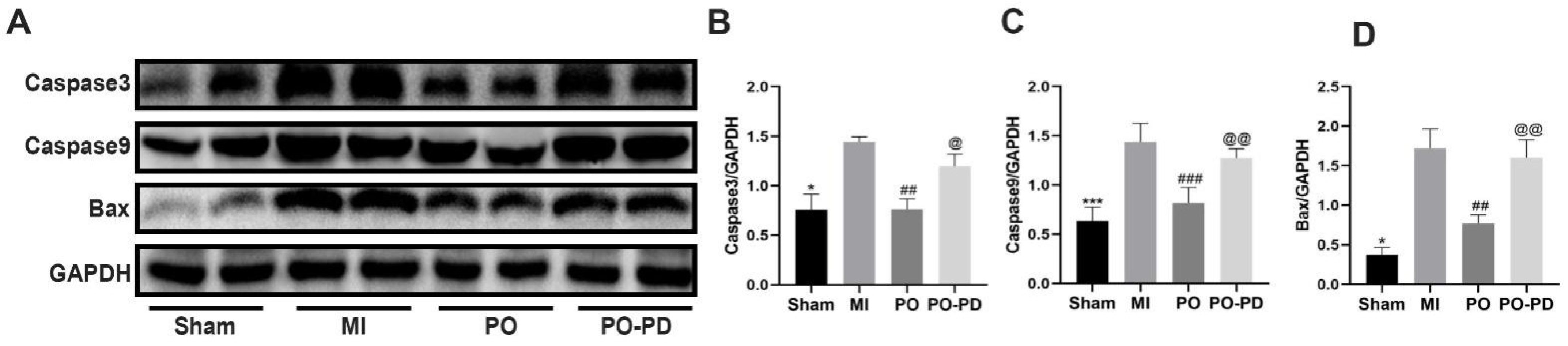 Molecules 28 03687 g007 Molecules 28 03687 g007