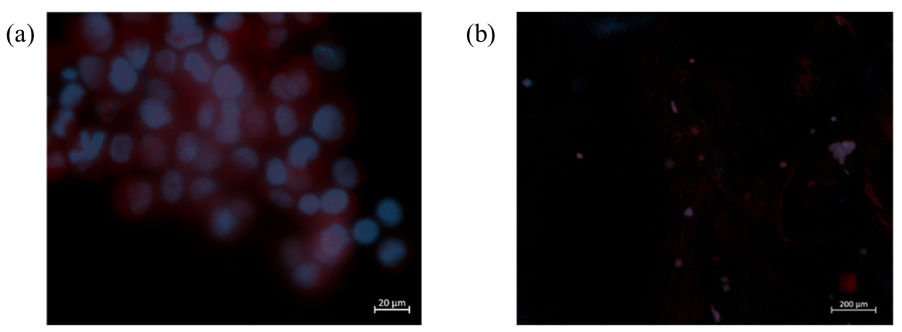 Molecules 28 03689 g007 Molecules 28 03689 g007