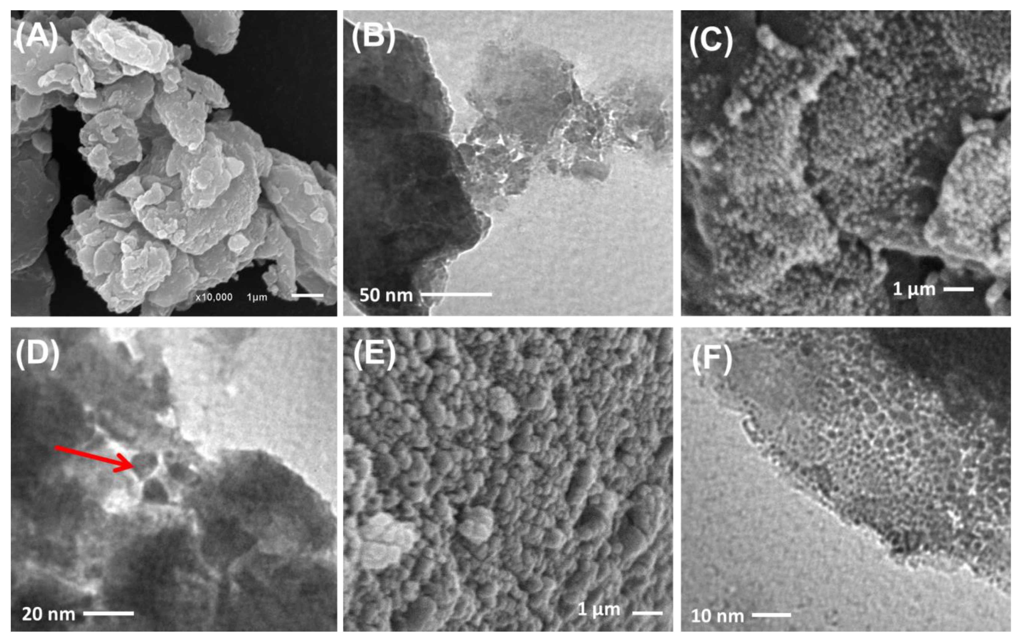 Molecules 28 03692 g004 Molecules 28 03692 g004