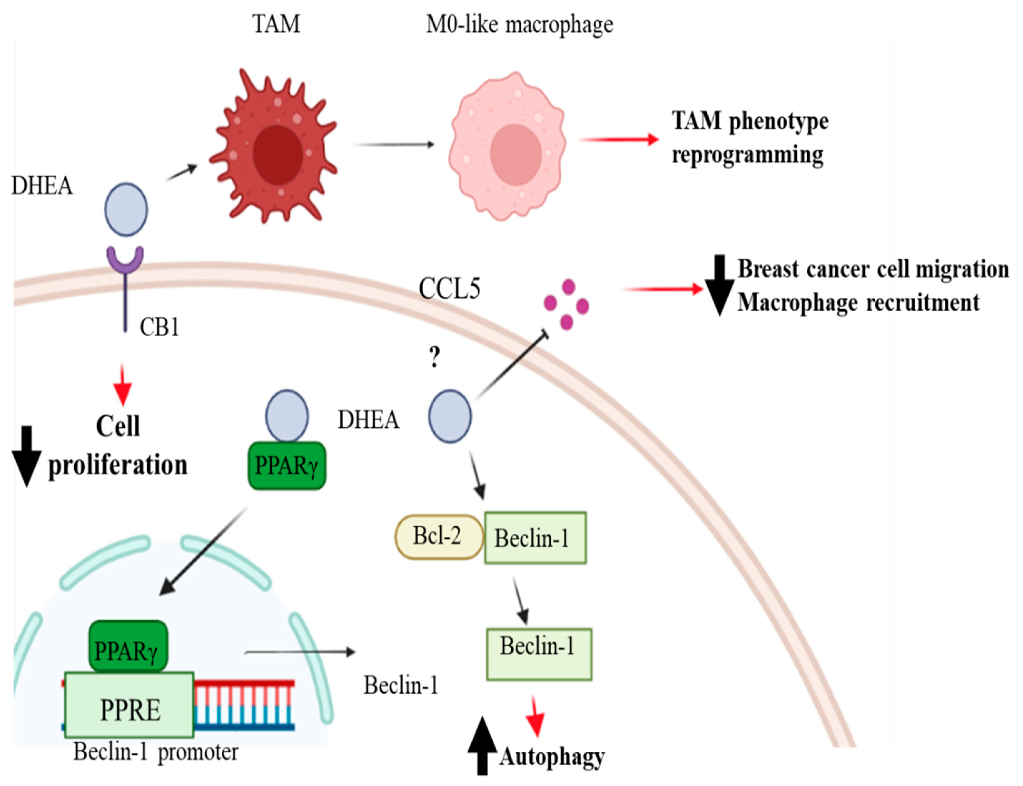 Molecules 28 03694 g003 Molecules 28 03694 g003