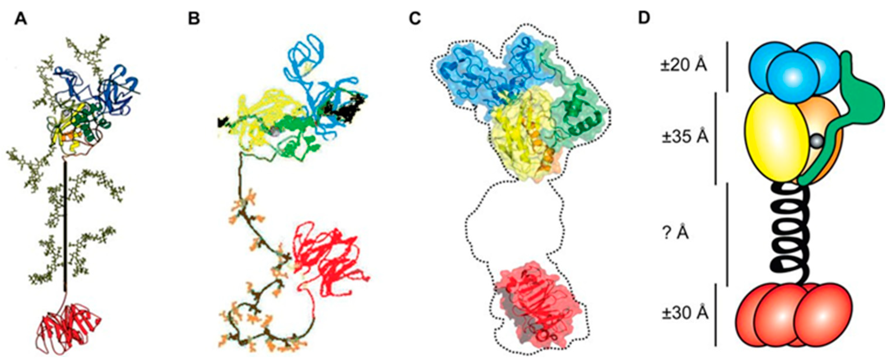 Role of MMP-9 in epithelial-mesenchymal transition of thyroid cancer, World Journal of Surgical Oncology