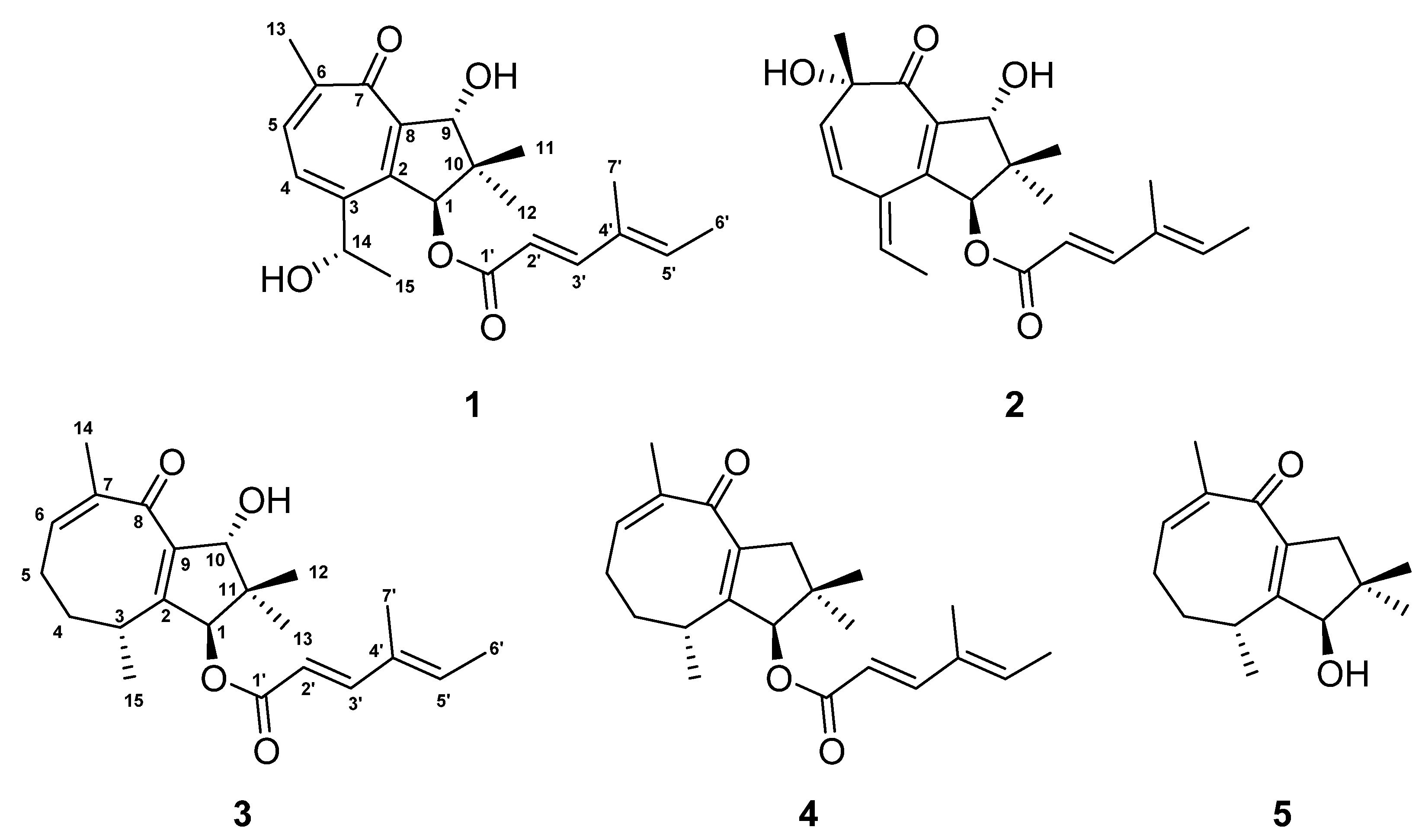 Molecules 28 03723 g001