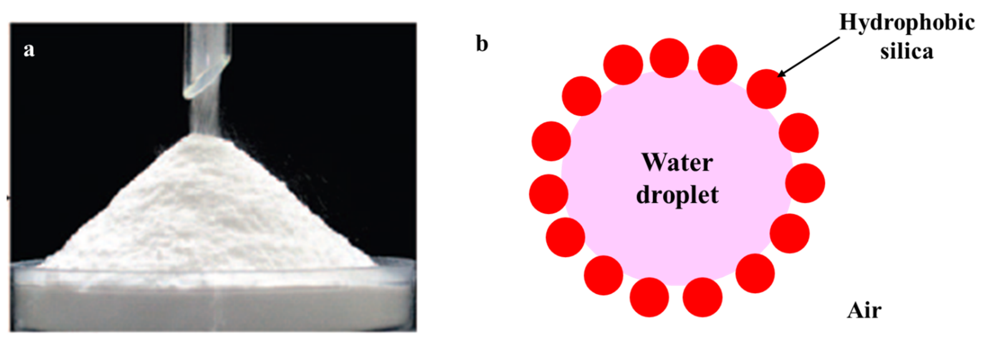 Molecules 28 03731 g001 Molecules 28 03731 g001