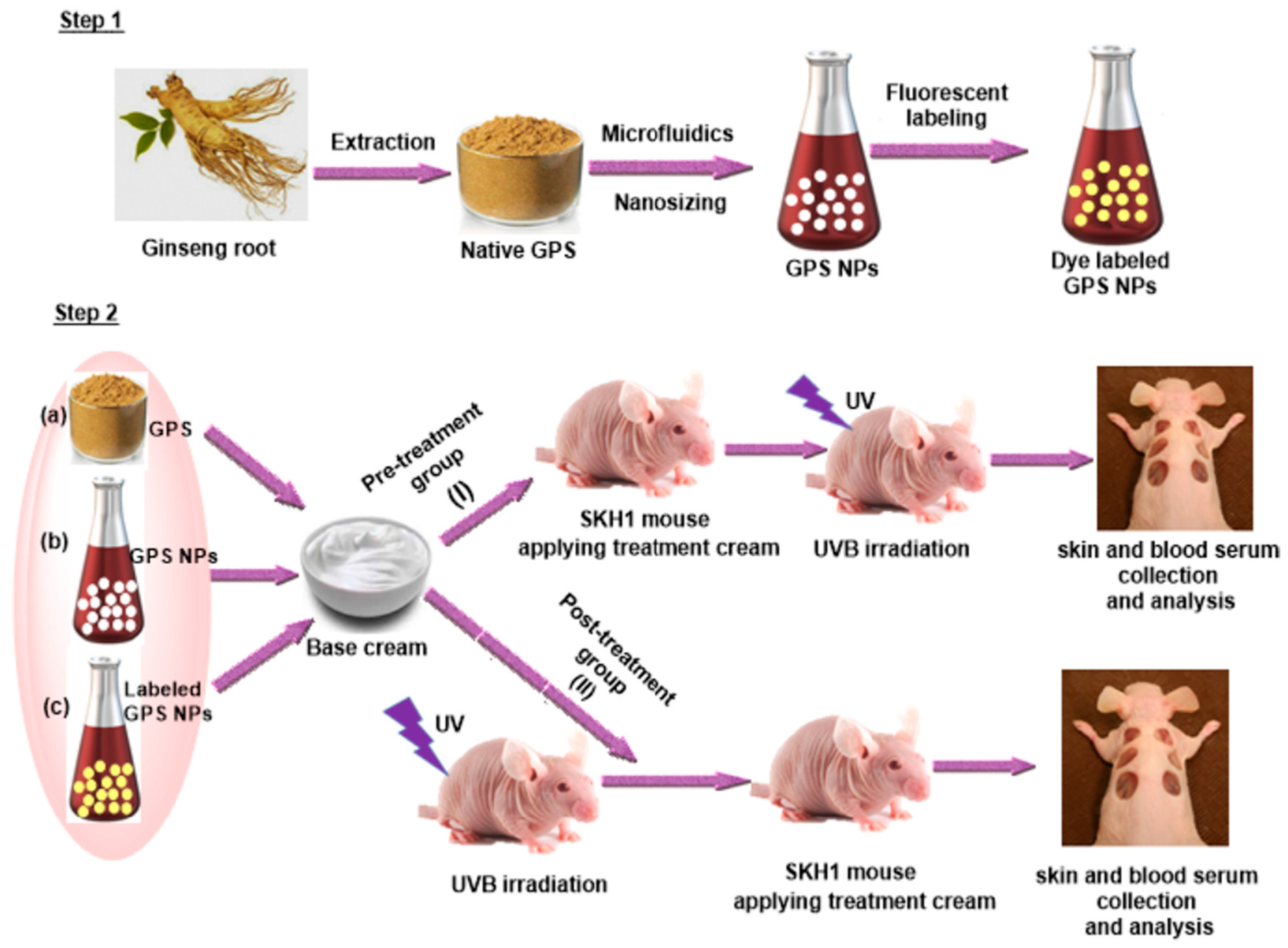 Molecules 28 03733 g002 Molecules 28 03733 g002