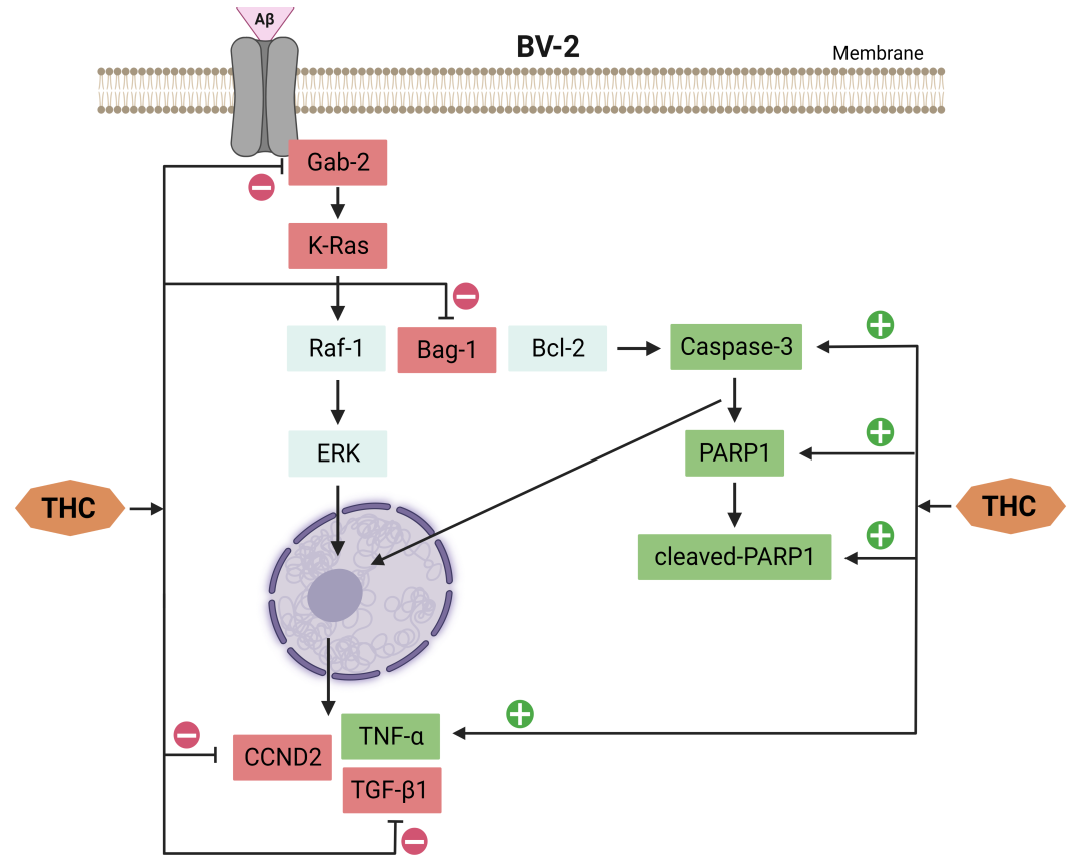Molecules 28 03734 g008 Molecules 28 03734 g008