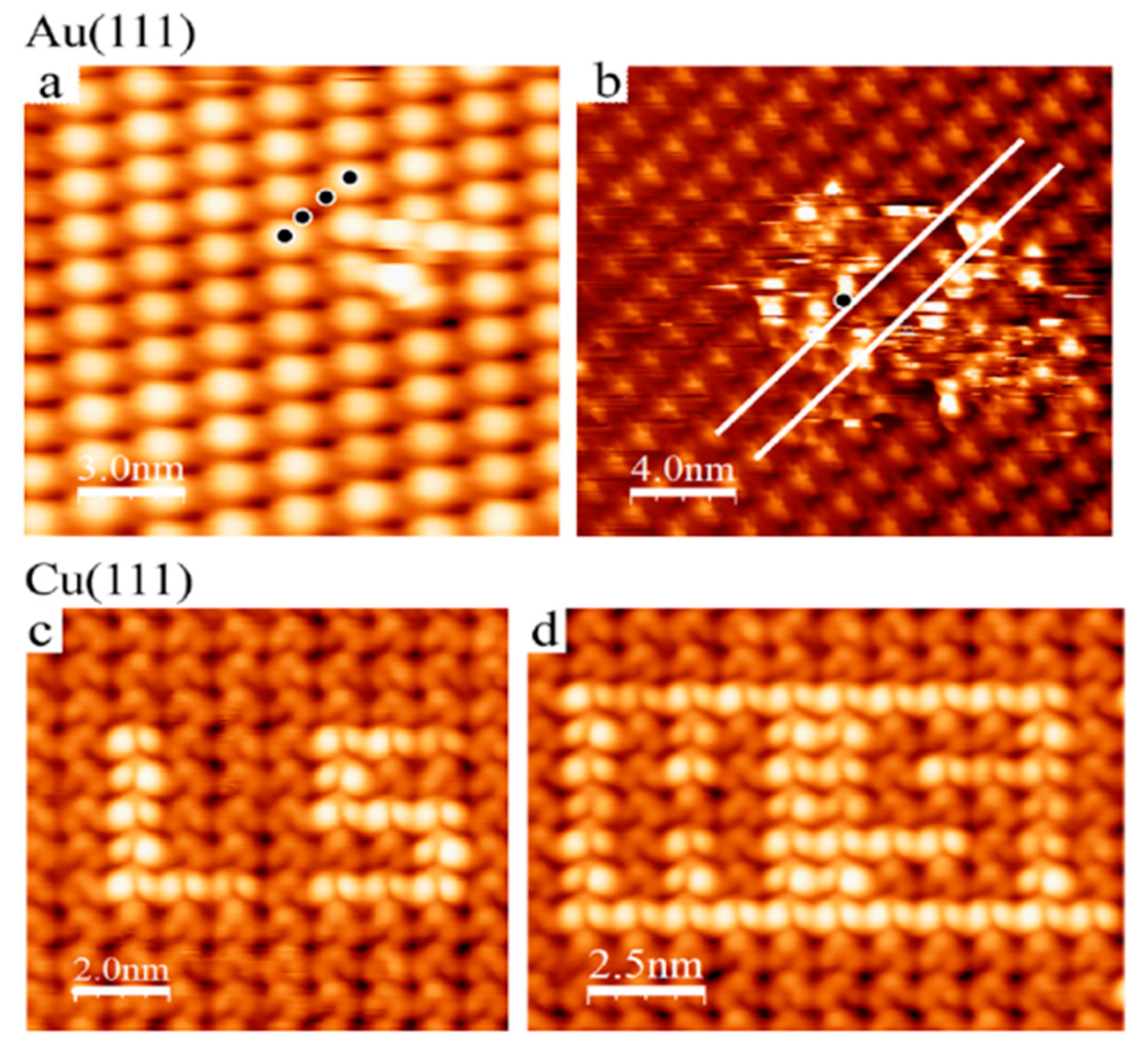Molecules 28 03735 g005 Molecules 28 03735 g005