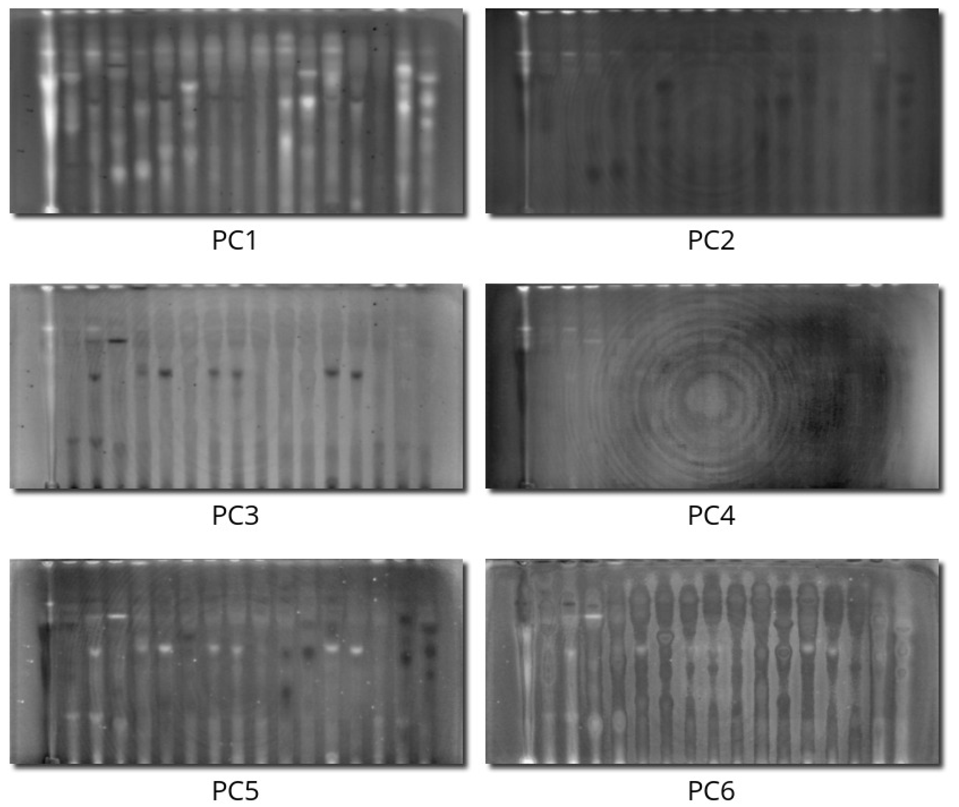Molecules 28 03745 g003
